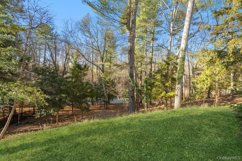 89 Mill River Road thumbnail 38