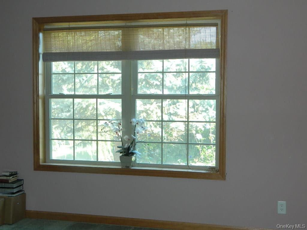 188 Hoyt Street thumbnail 19