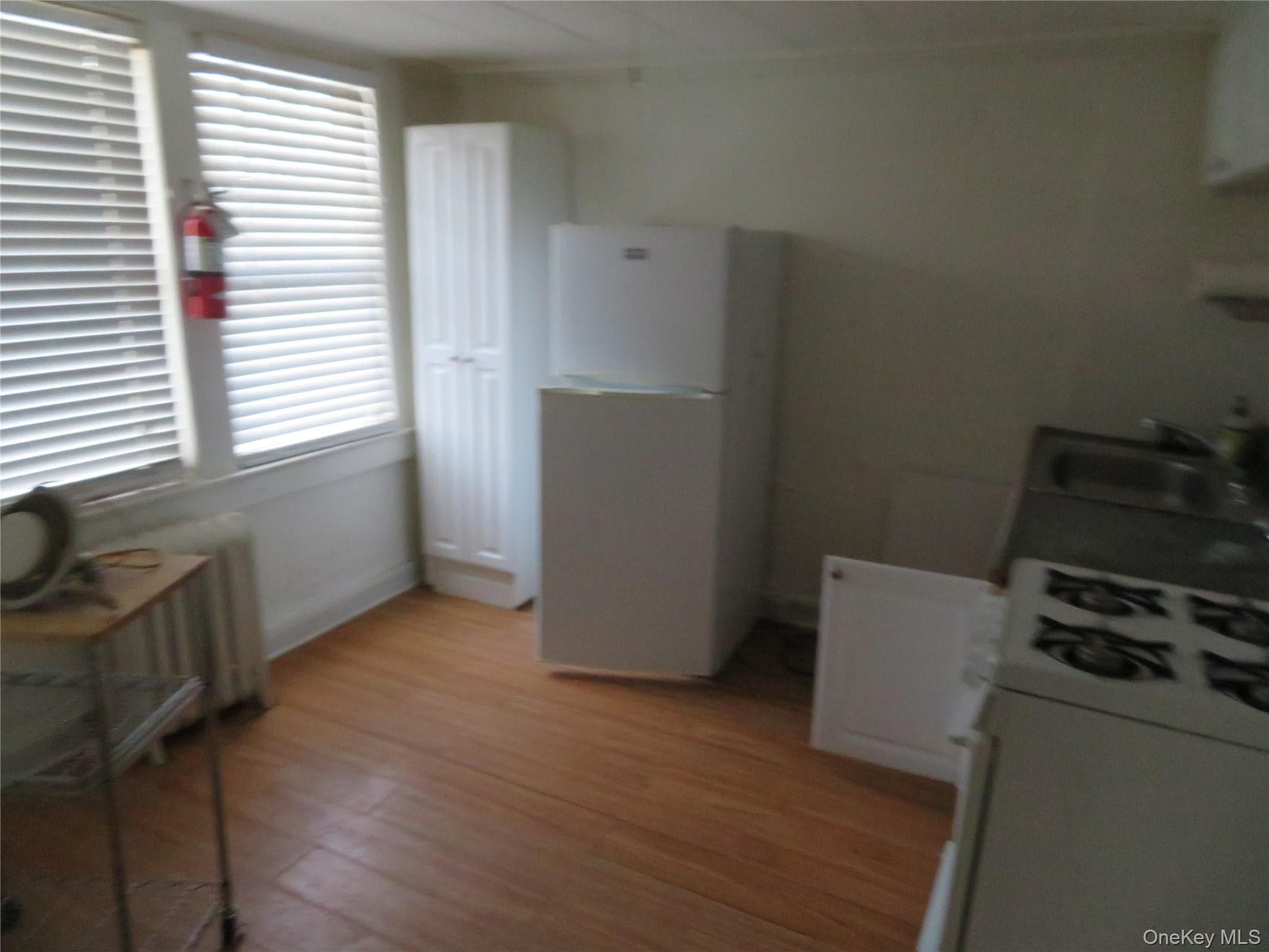 125 Hudson Terrace thumbnail 26