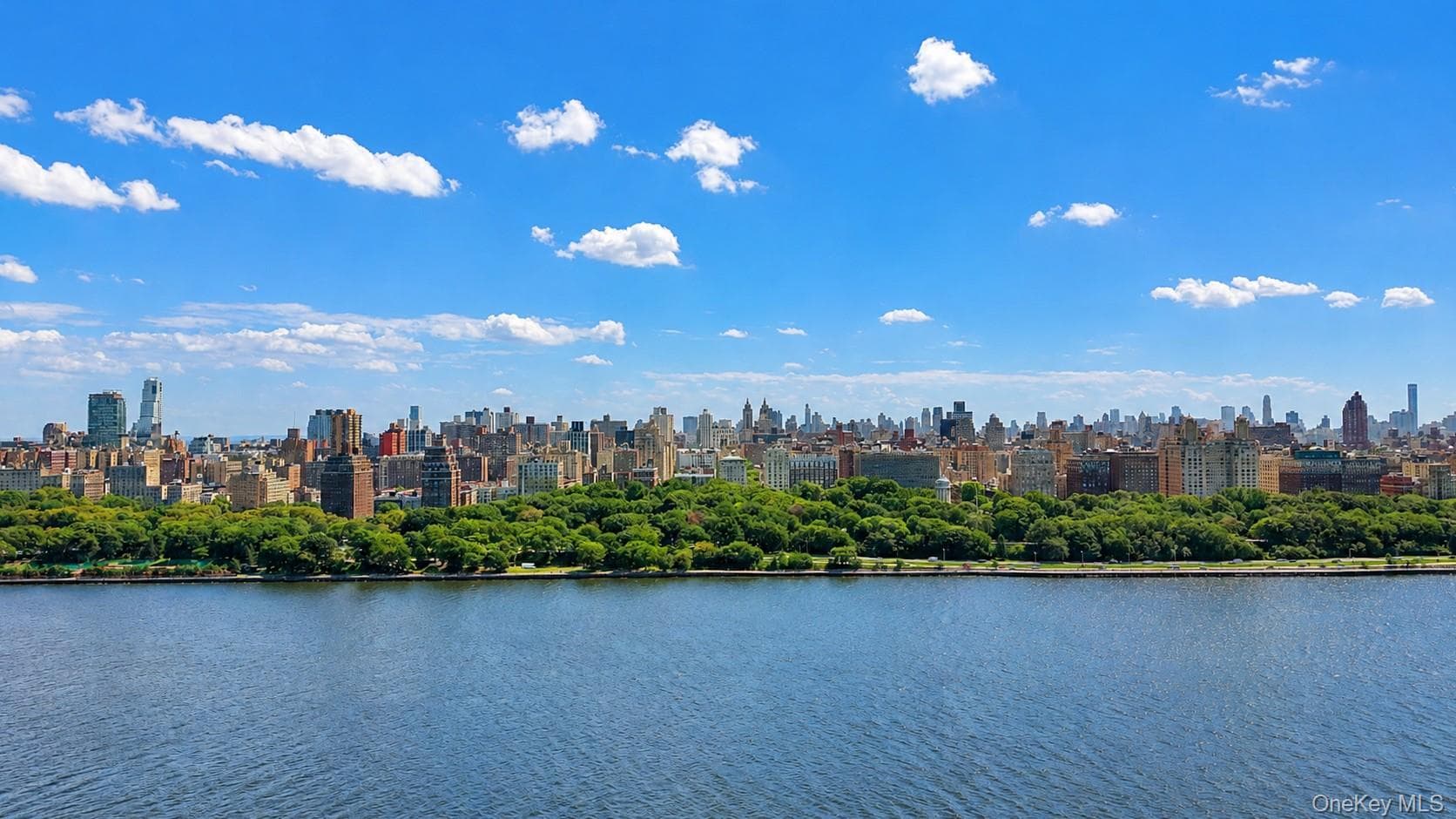 433 W 34th Street Unit: 2N thumbnail 13