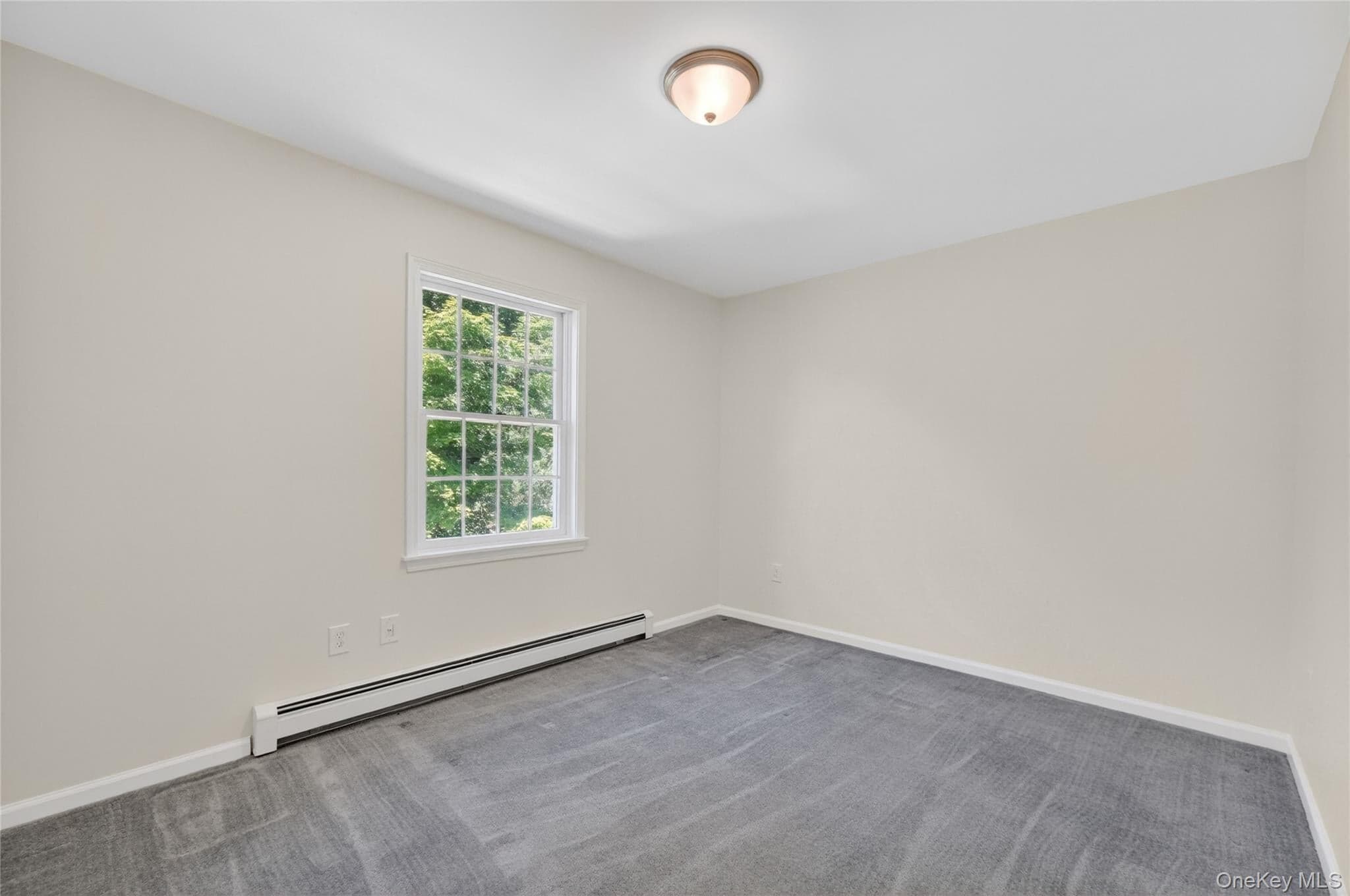 433 Barrett Hill Road thumbnail 27