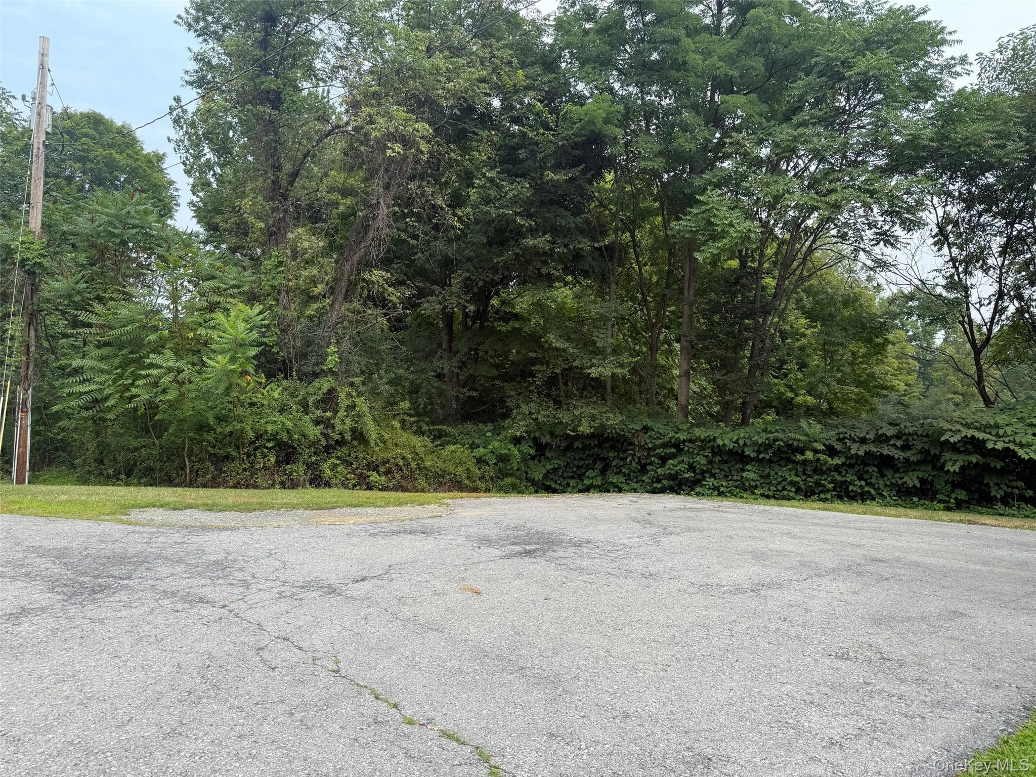 568 County Route 49 Unit: 2C thumbnail 29