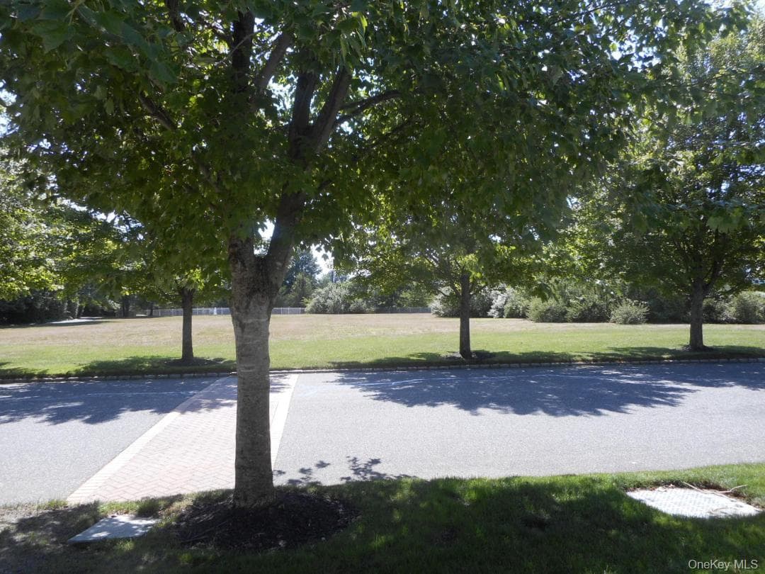 173 Hamlet Drive thumbnail 2