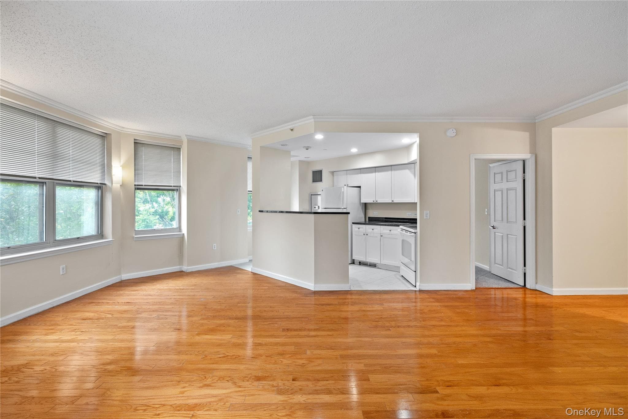 300 Mamaroneck Avenue Unit: 201 thumbnail 10