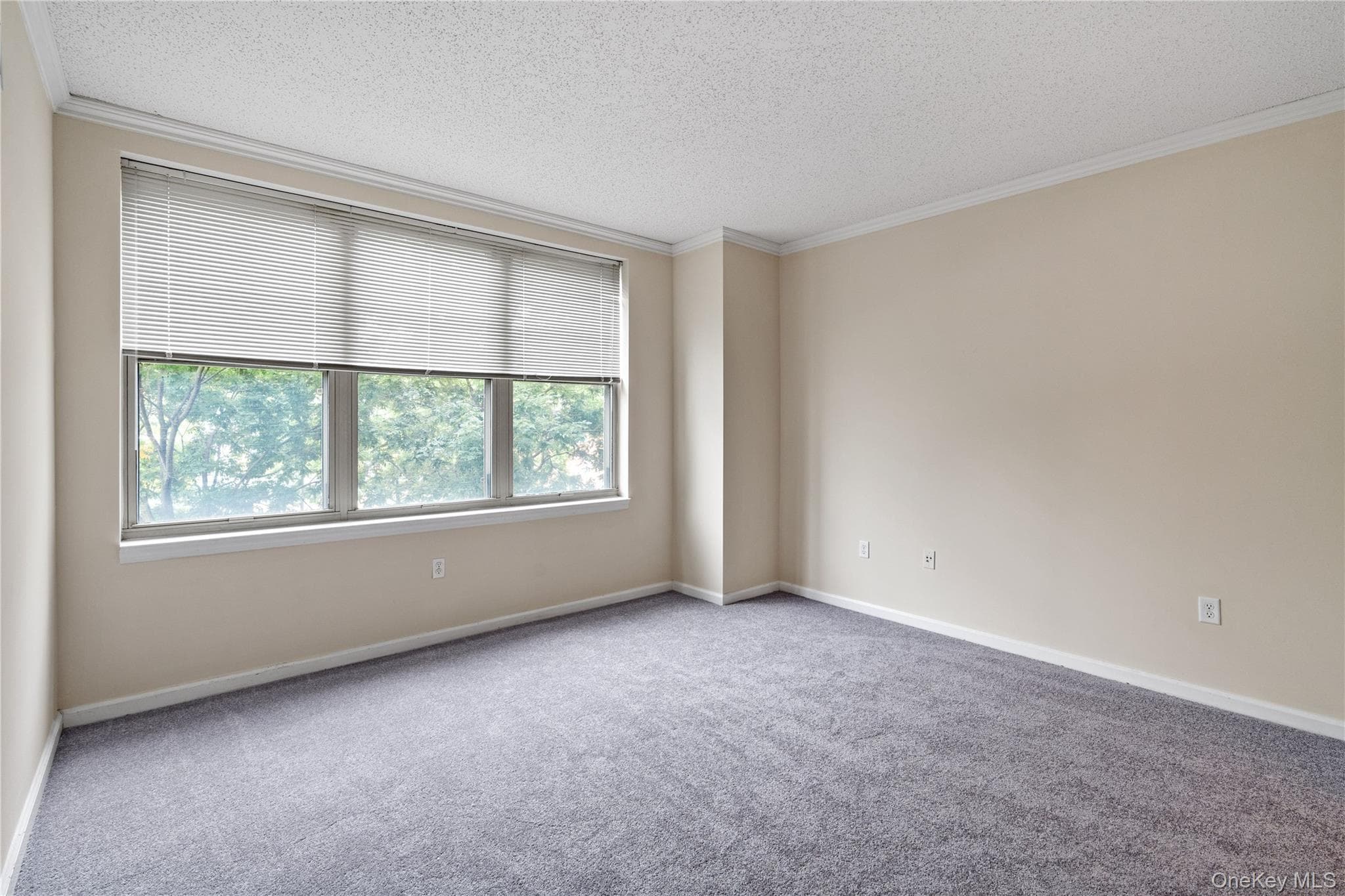 300 Mamaroneck Avenue Unit: 201 thumbnail 15