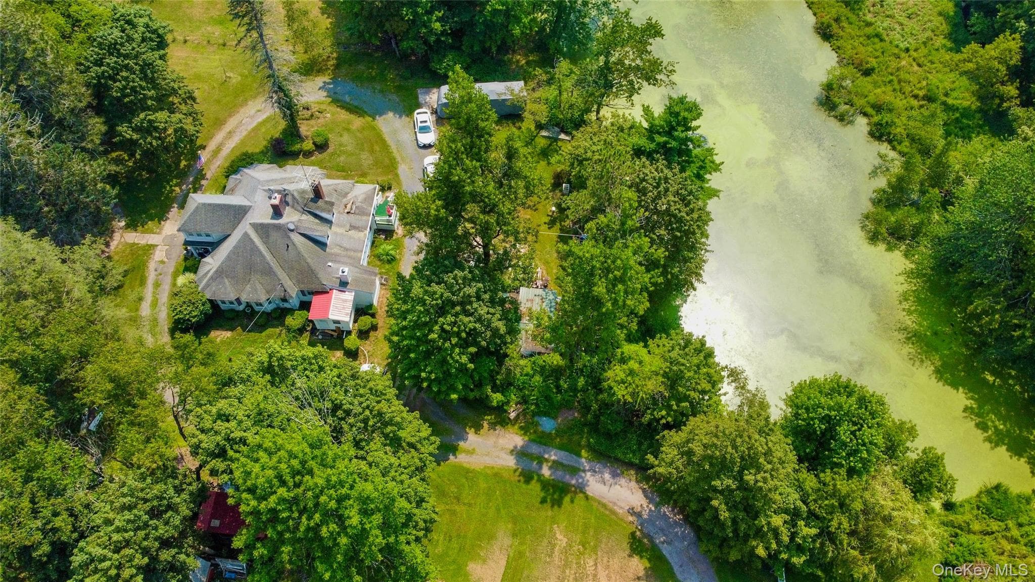 46 Lakewood Avenue thumbnail 6