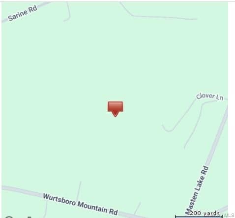 Park Avenue, Wurtsboro