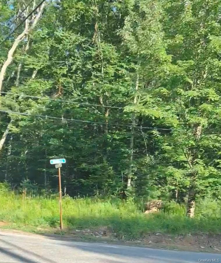 143 Mountain Dale Road thumbnail 3