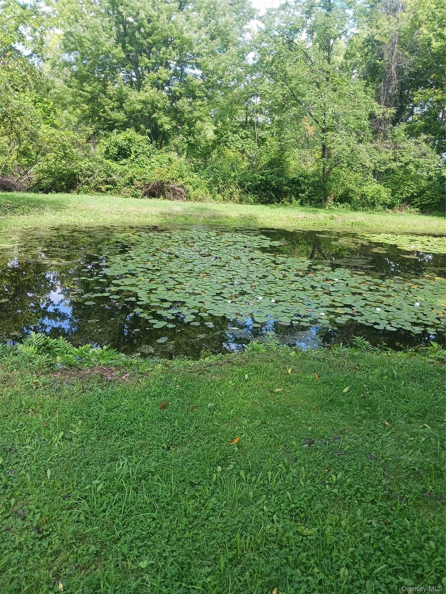 36 Greentree Lane thumbnail 15