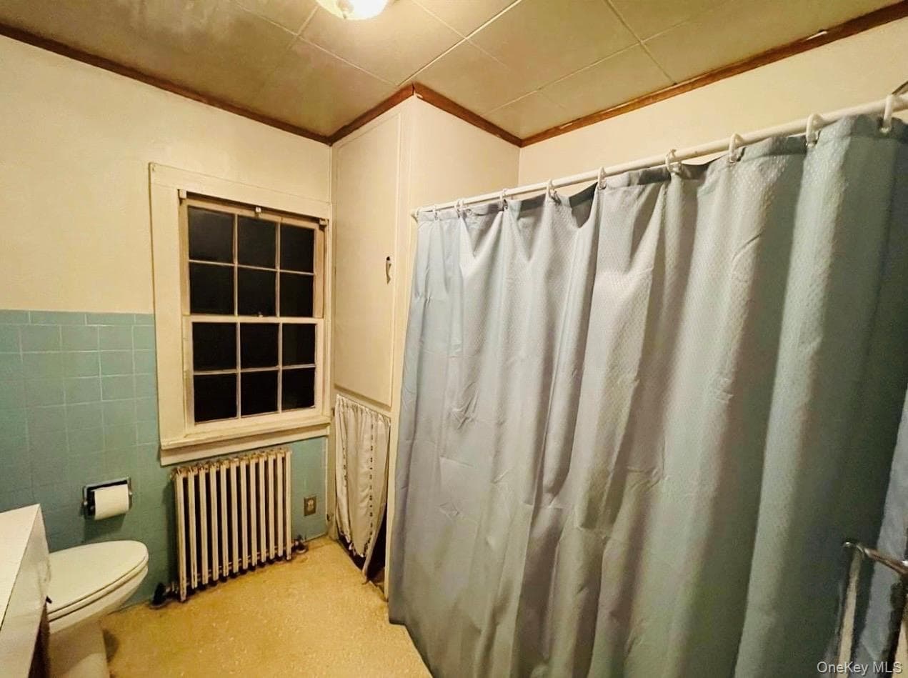 29 Saugerties Manor Road thumbnail 9