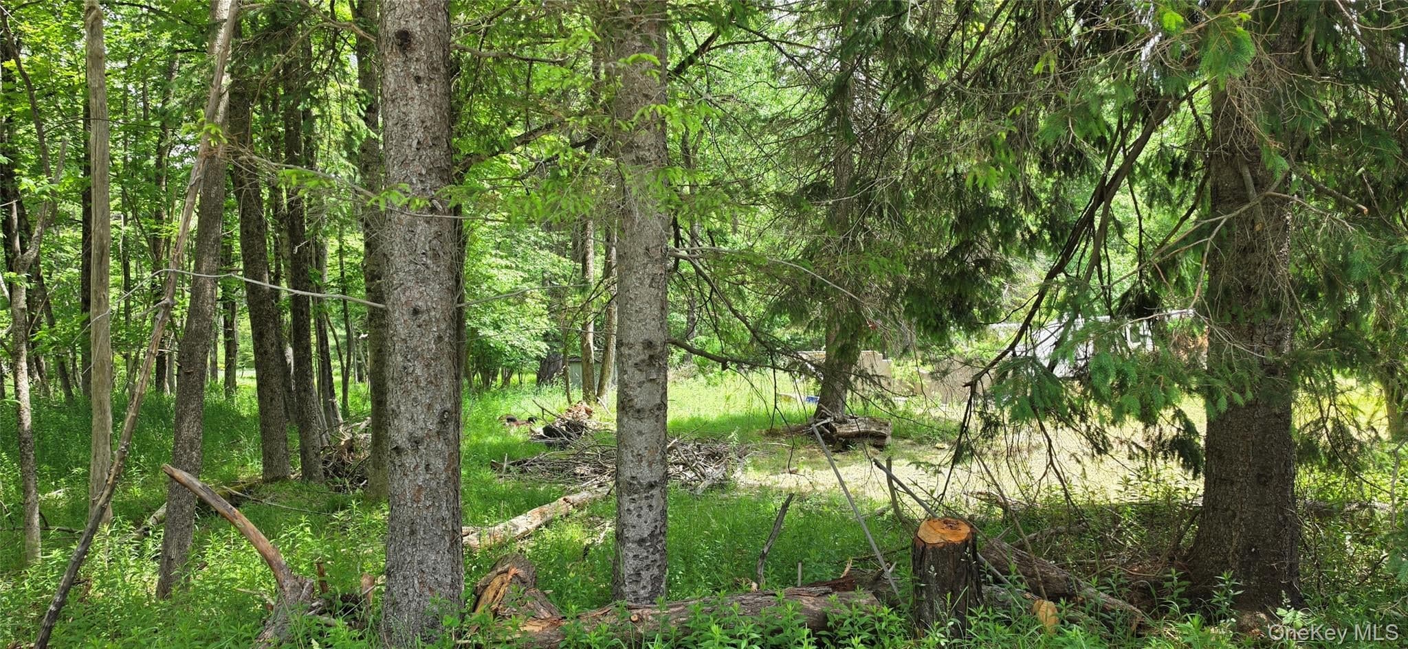 208 Parksville Road thumbnail 6