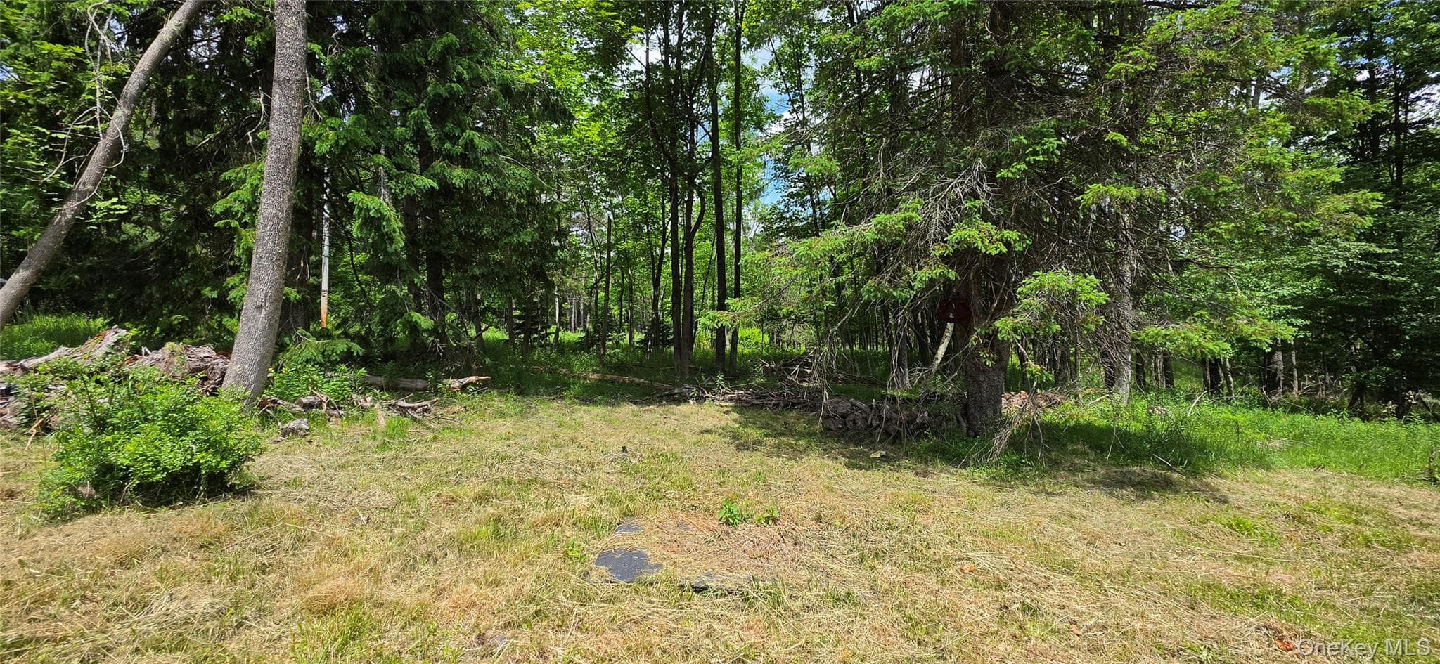 208 Parksville Road thumbnail 2