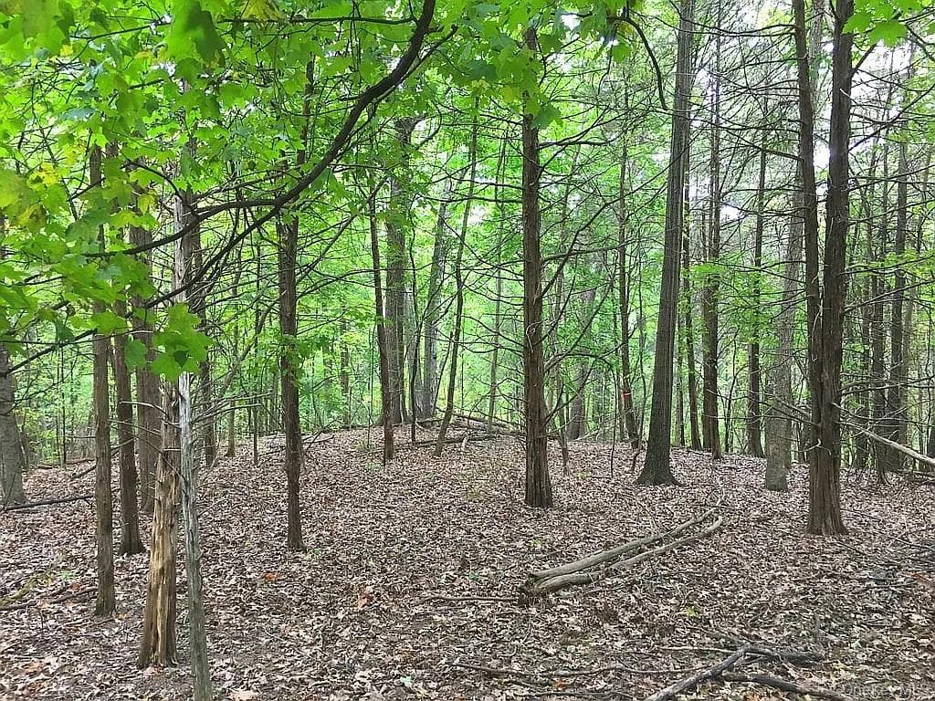 410 County Rt. 25 thumbnail 12
