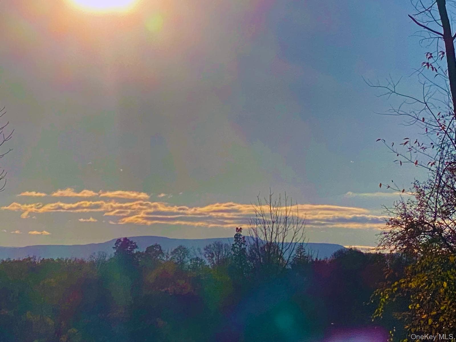410 County Rt. 25 thumbnail 2