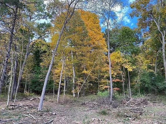 410 County Rt. 25 thumbnail 3