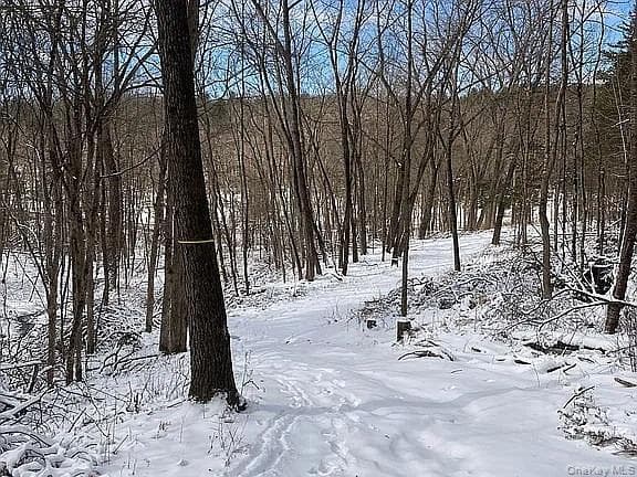 410 County Rt. 25 thumbnail 16