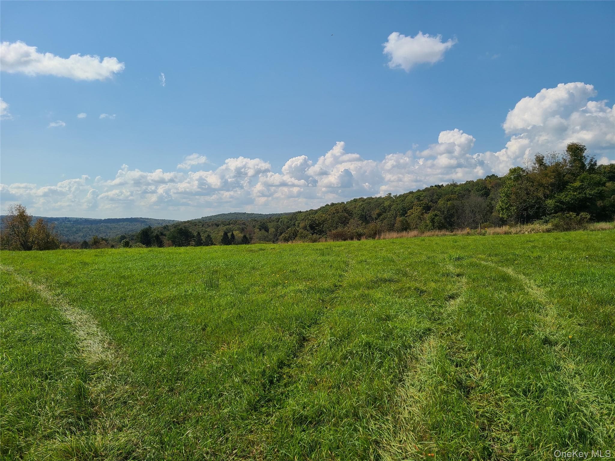 356 Gabel Road thumbnail 15