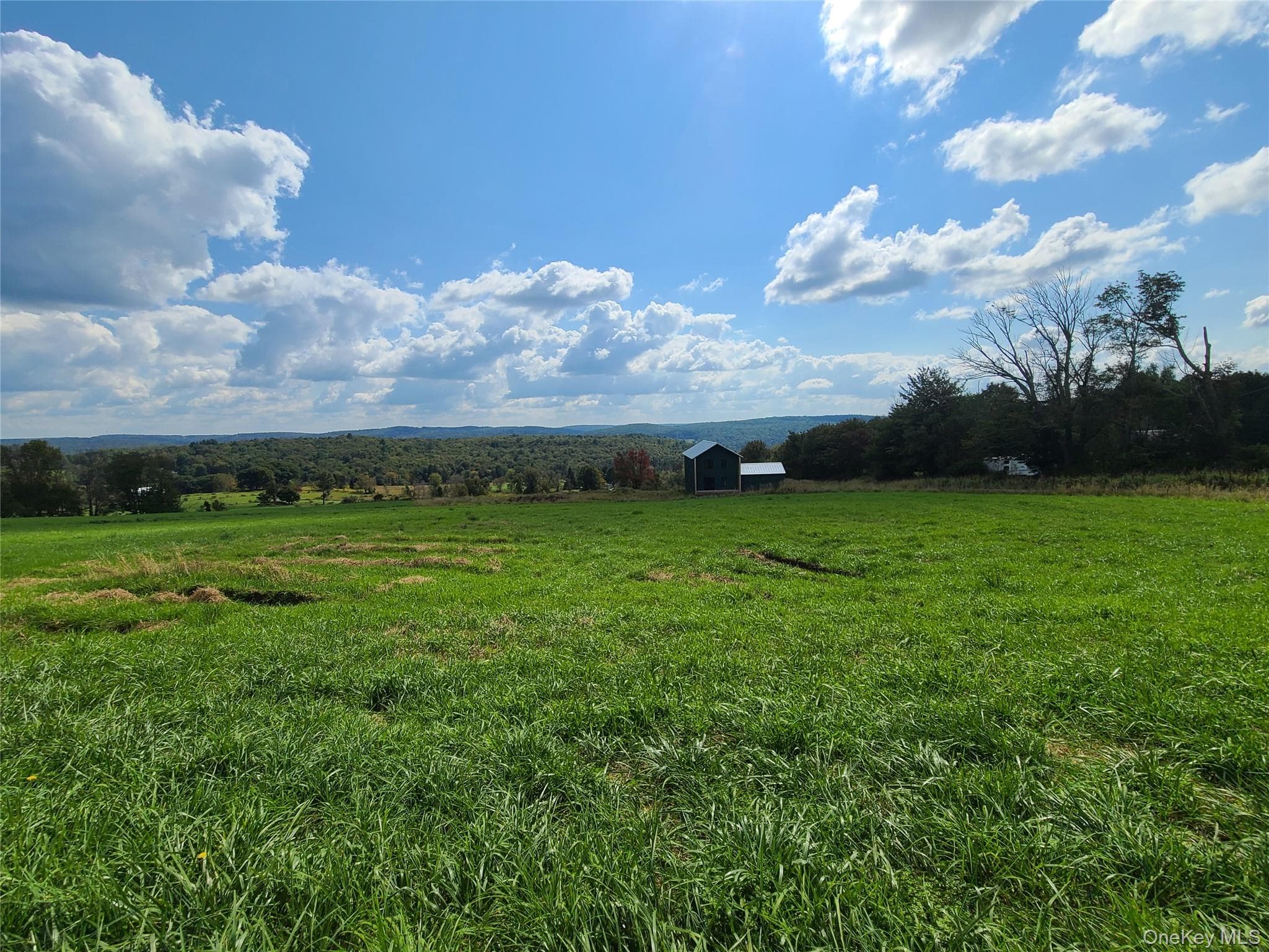 356 Gabel Road thumbnail 27