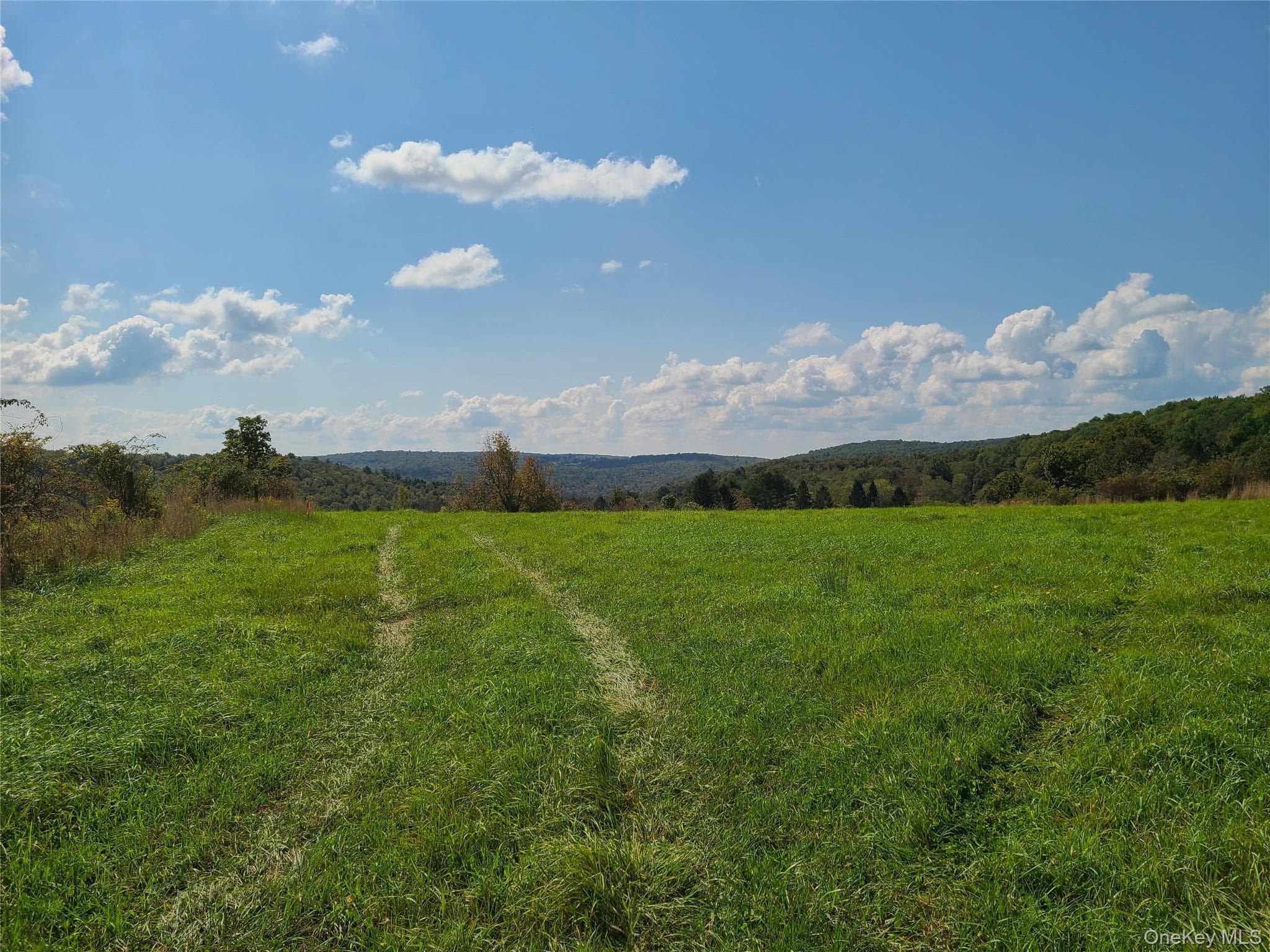 356 Gabel Road thumbnail 20