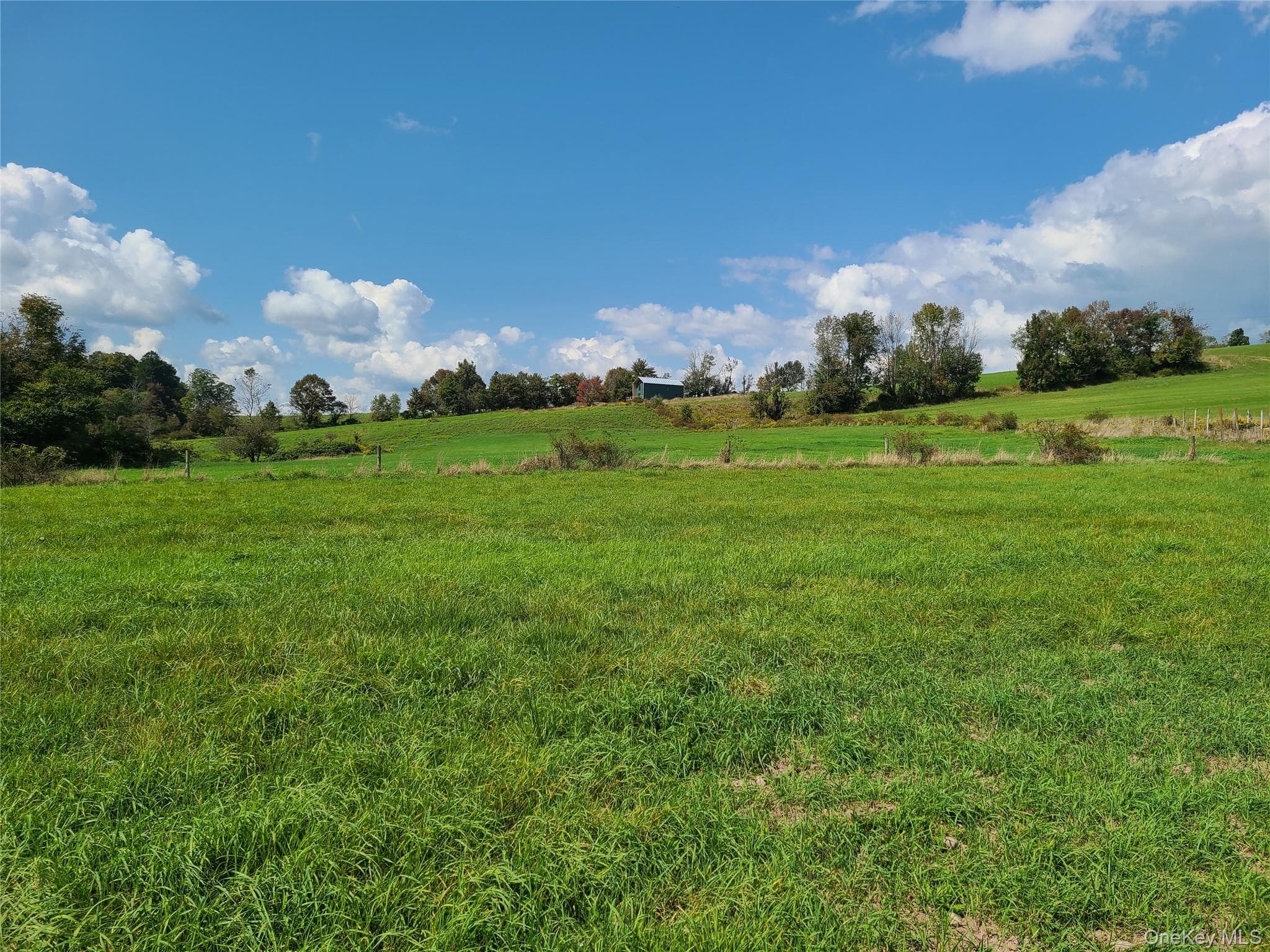 356 Gabel Road thumbnail 16