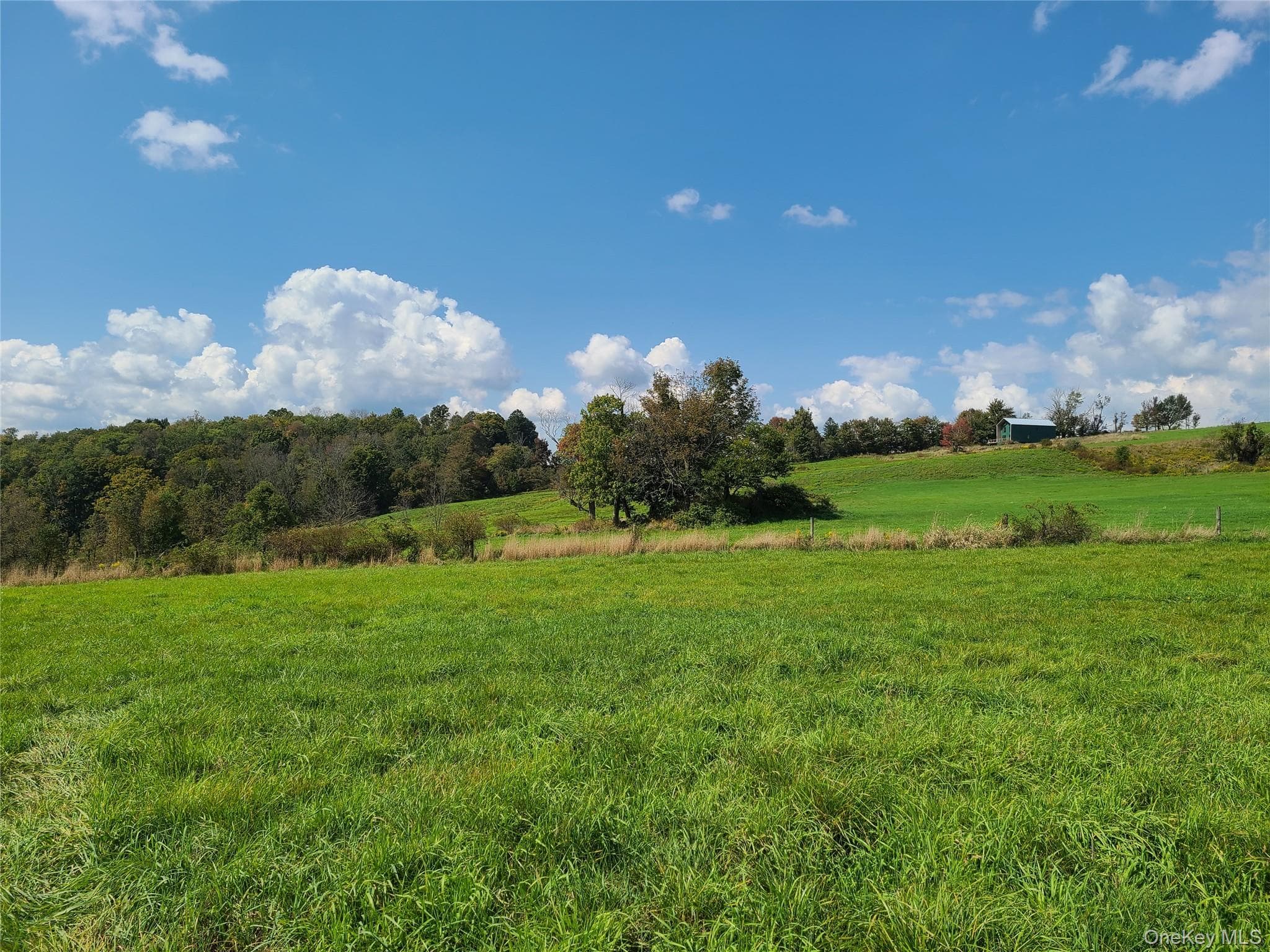 356 Gabel Road thumbnail 25