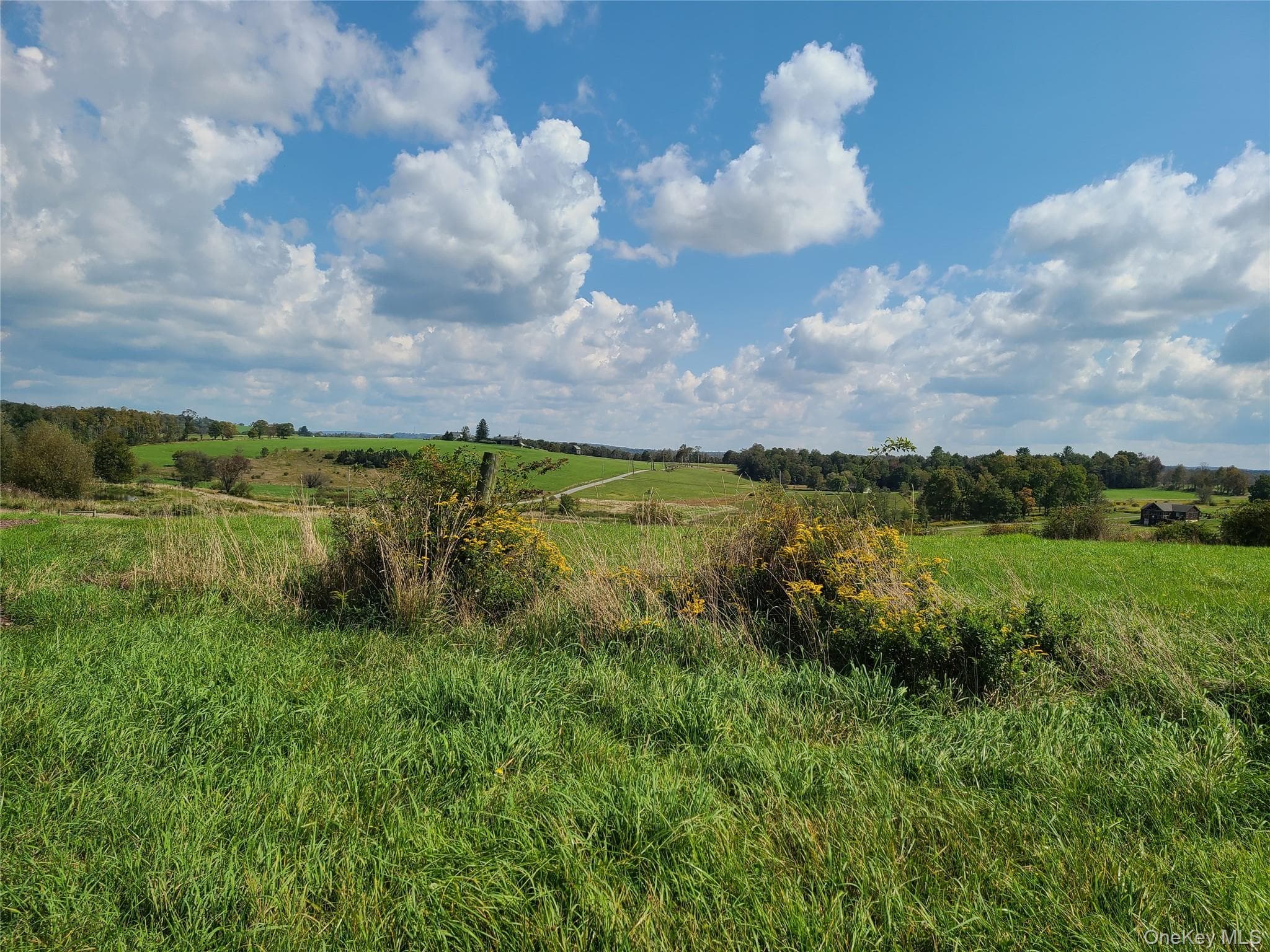 356 Gabel Road thumbnail 21