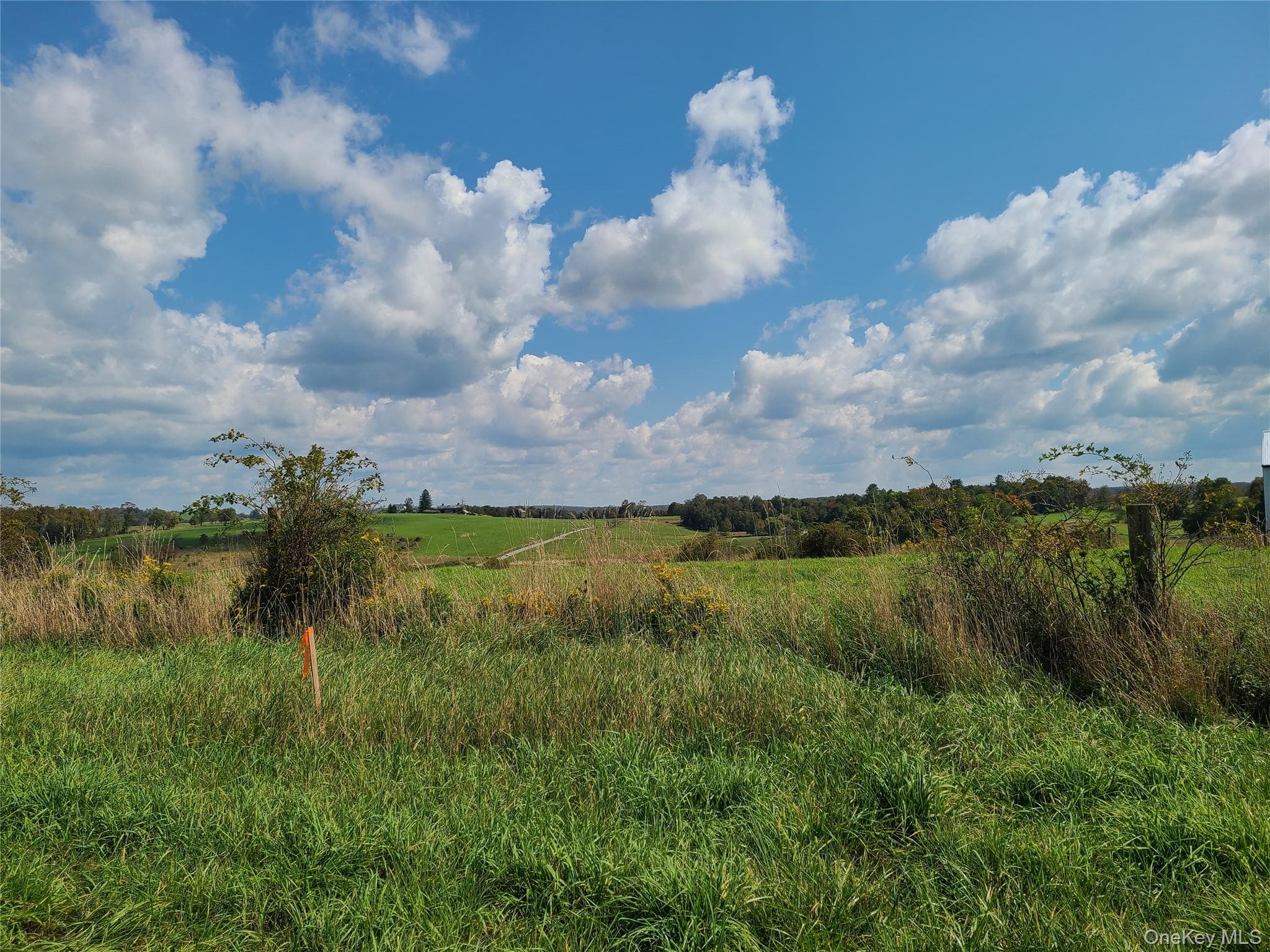 356 Gabel Road thumbnail 24