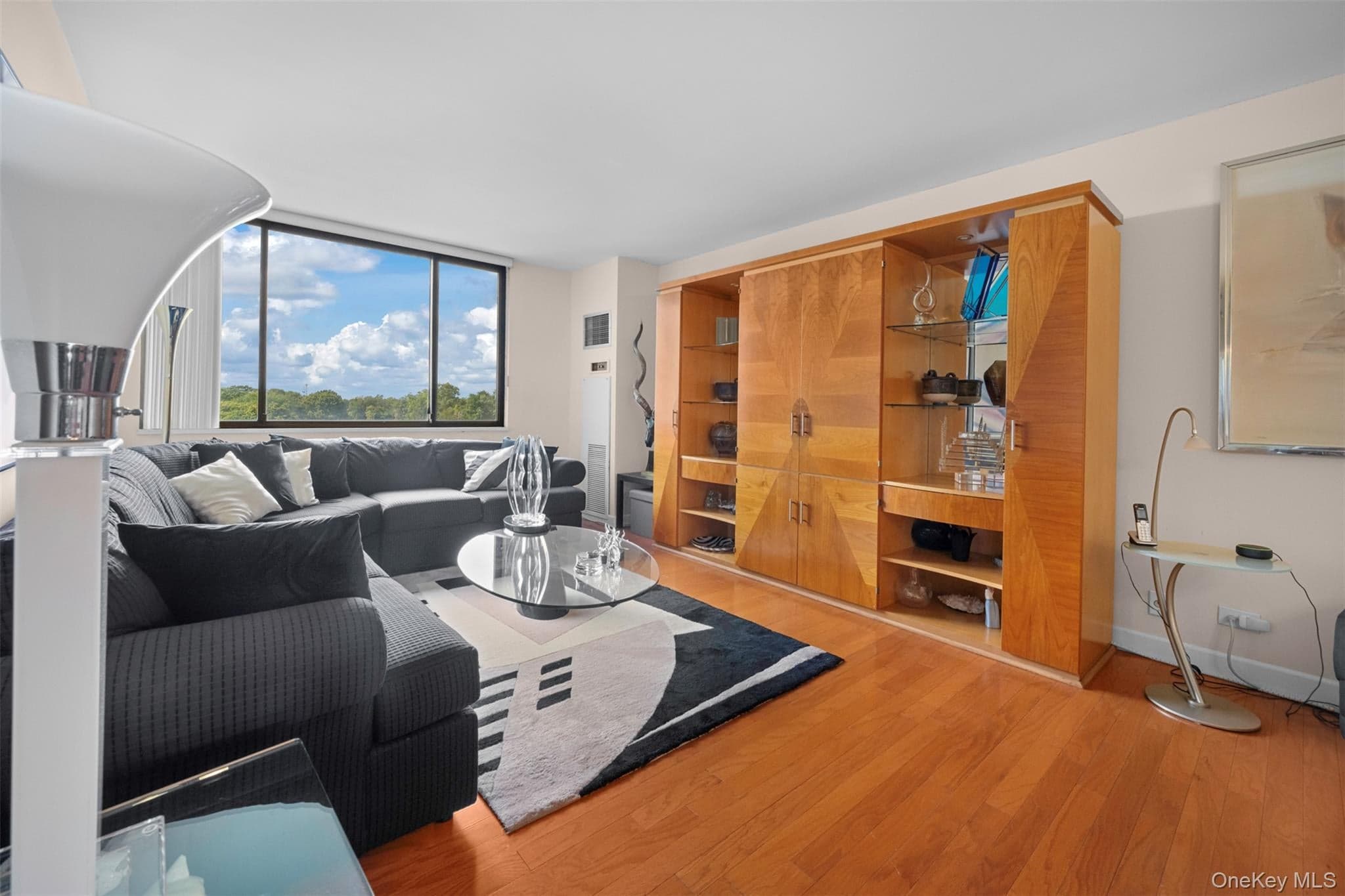 269-10 Grand Central Parkway Unit: 8P thumbnail 9