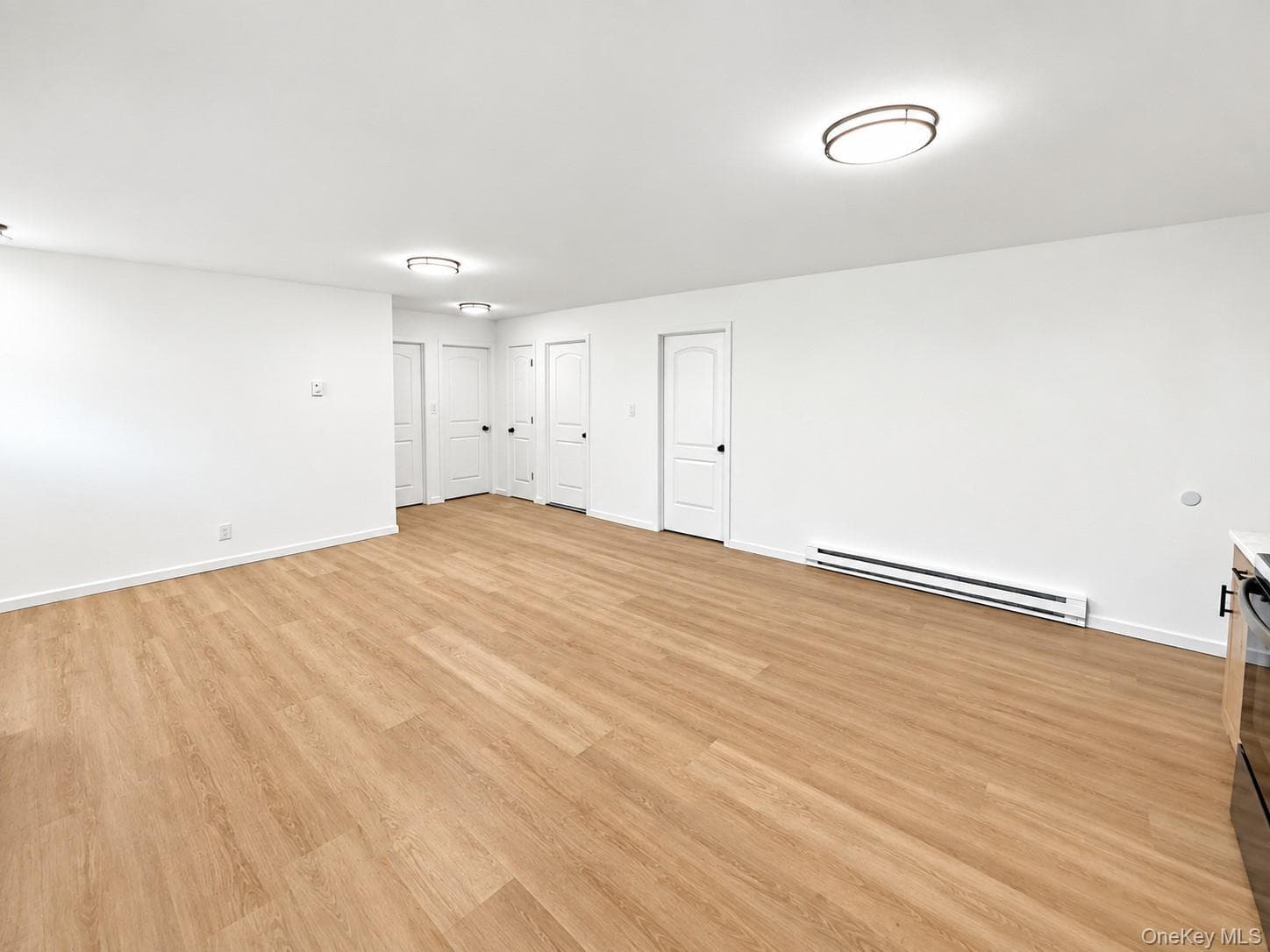 220 Moriches Avenue thumbnail 4