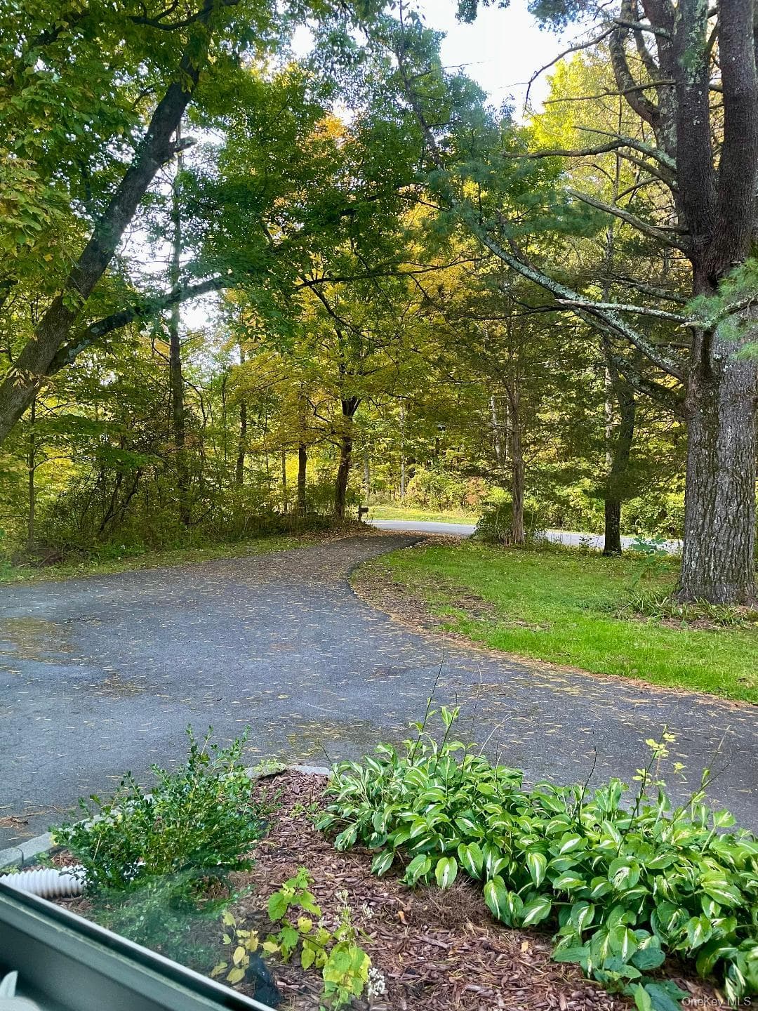 129 Gypsy Point Road thumbnail 5