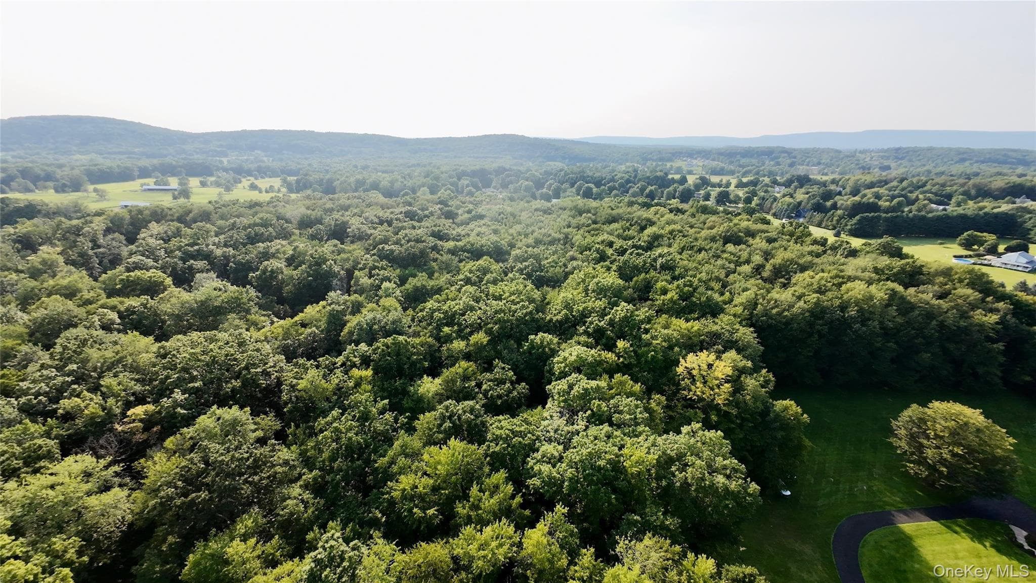 109 White Birch Lane thumbnail 17