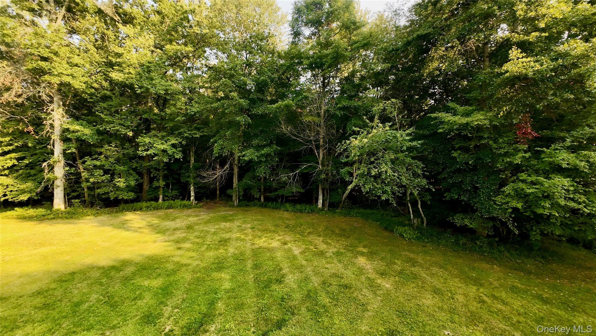 109 White Birch Lane thumbnail 6