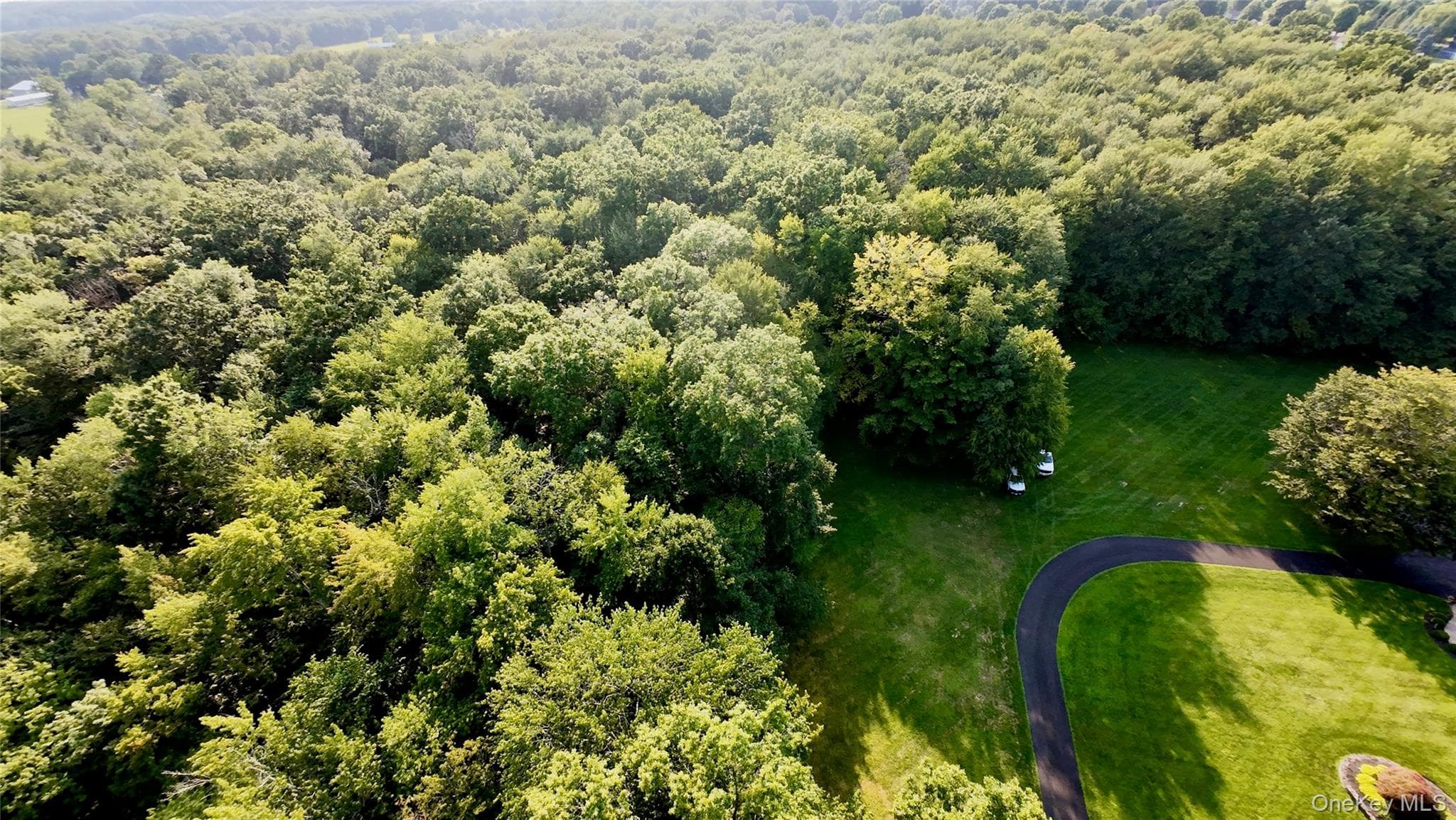 109 White Birch Lane thumbnail 16