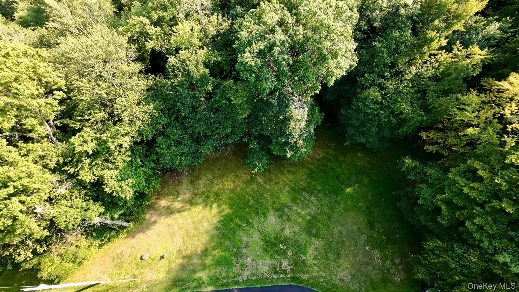 109 White Birch Lane thumbnail 14