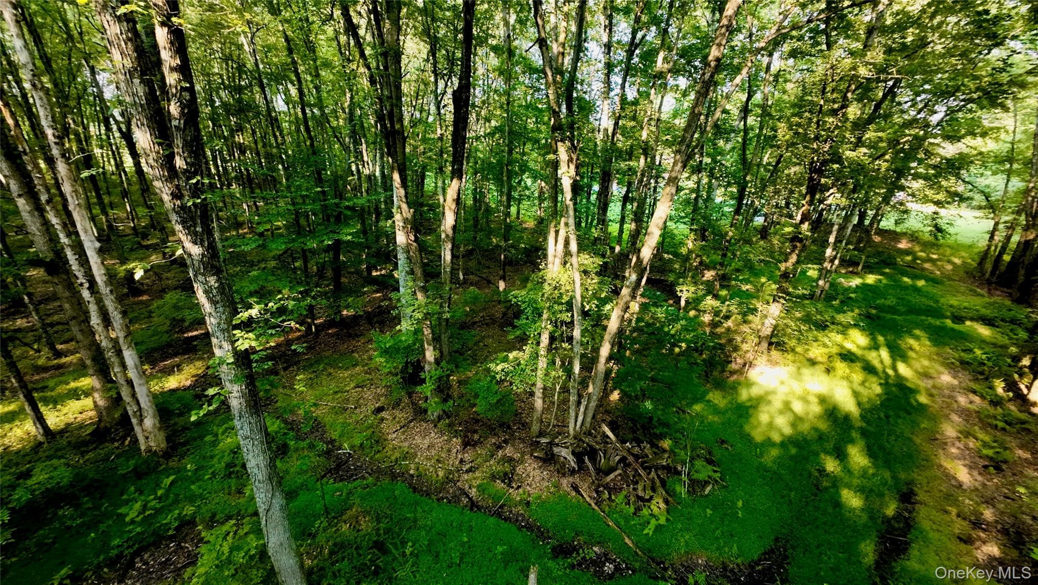 109 White Birch Lane thumbnail 12