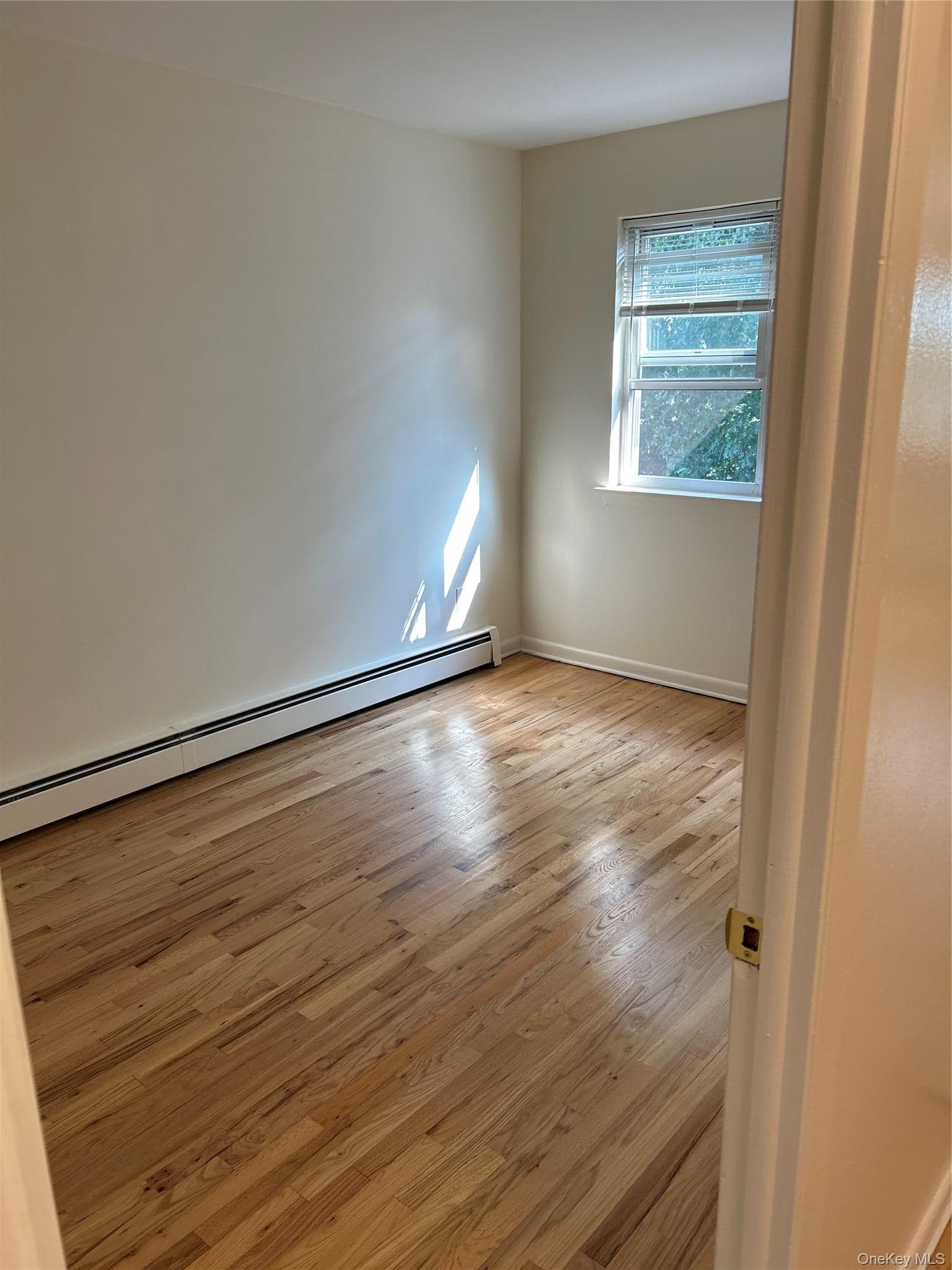 914 E 211th Street thumbnail 13