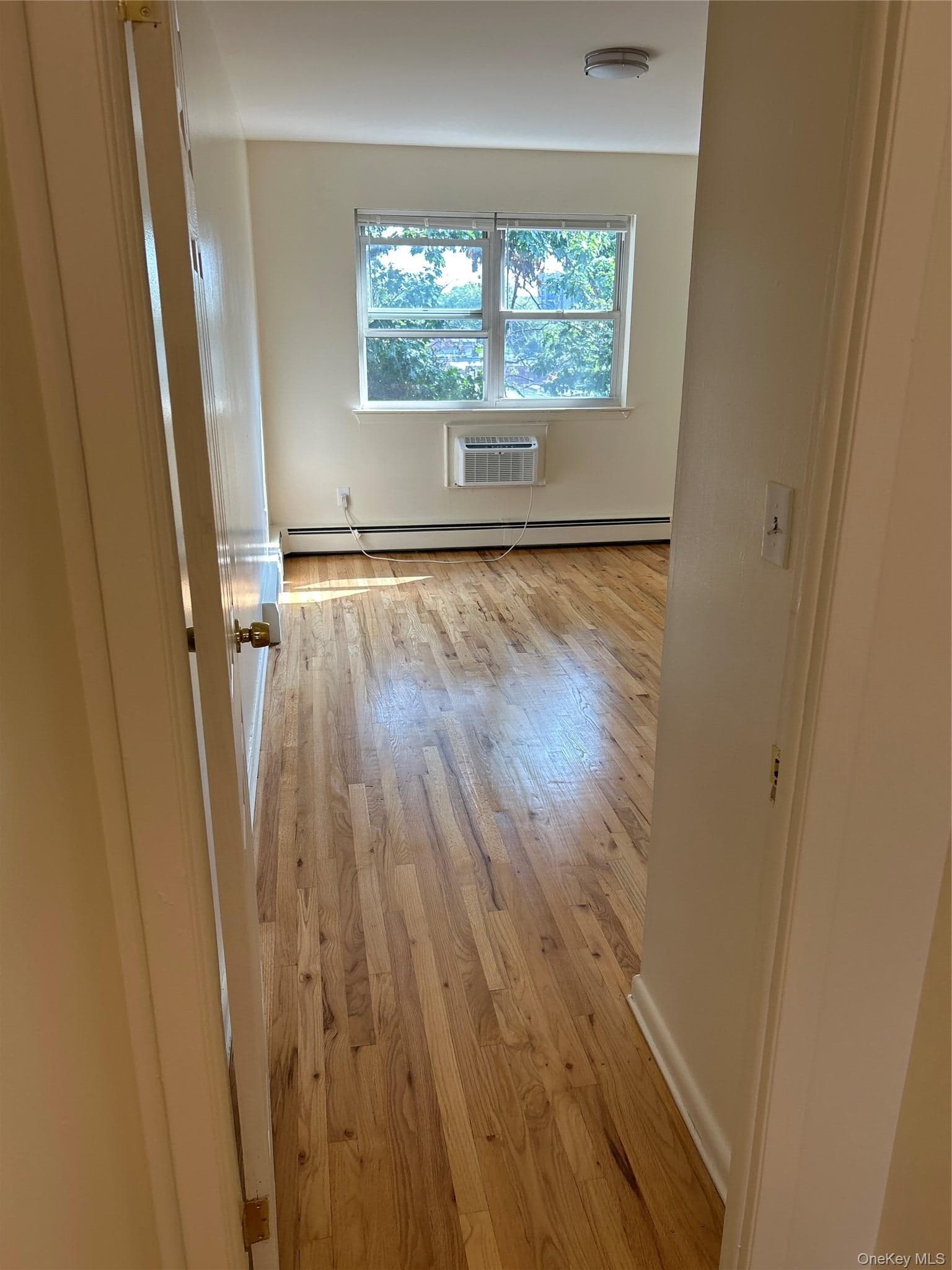 914 E 211th Street thumbnail 10