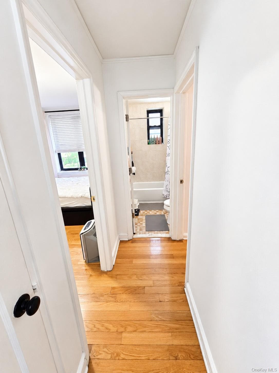 52-02 39th Avenue Unit: 1A thumbnail 9