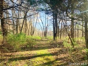 Sepasco Lake Road thumbnail 6