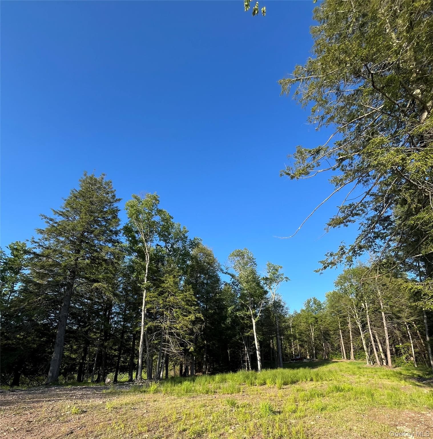 47 Eagles Ridge Way thumbnail 8