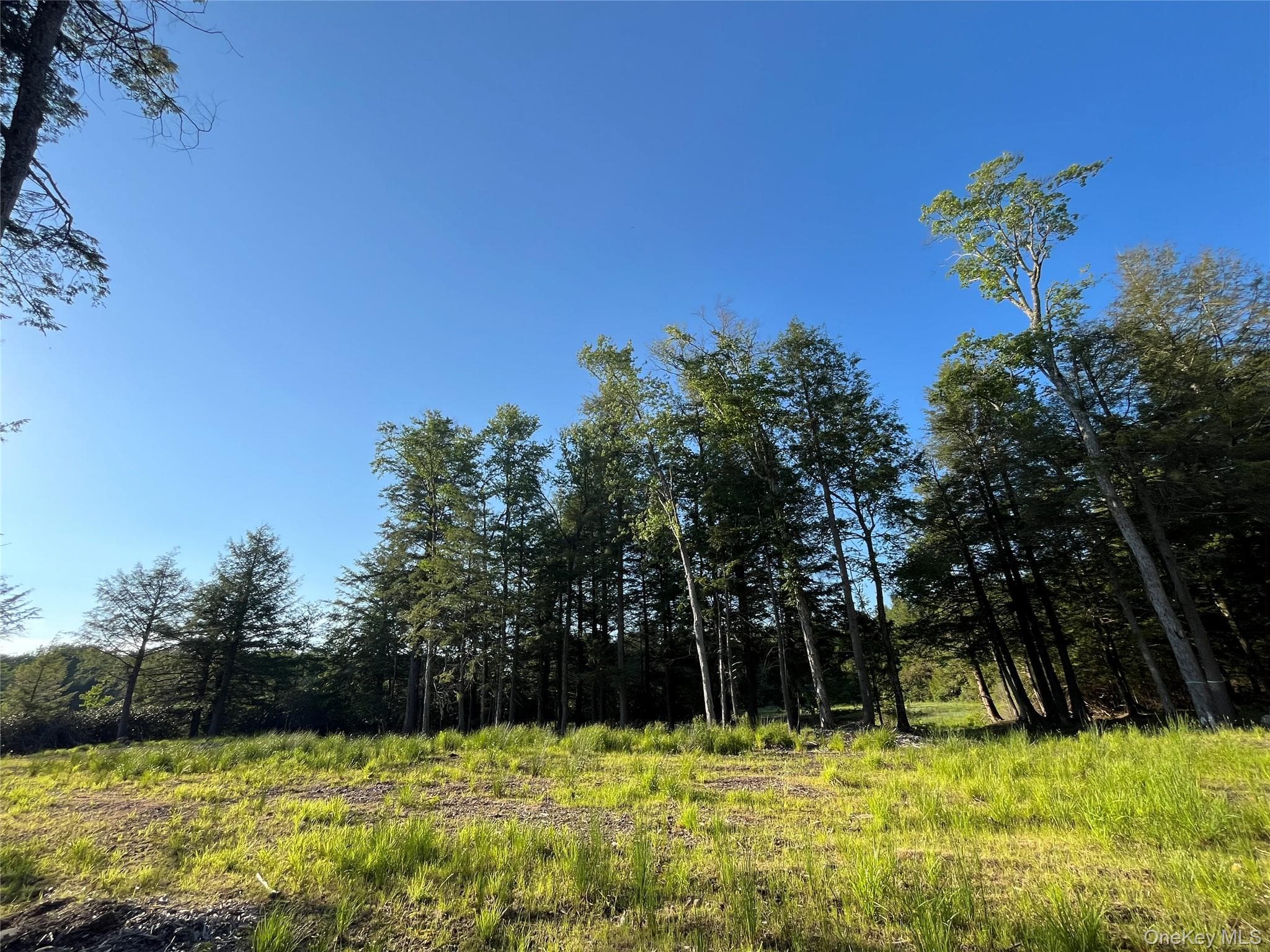 47 Eagles Ridge Way thumbnail 12