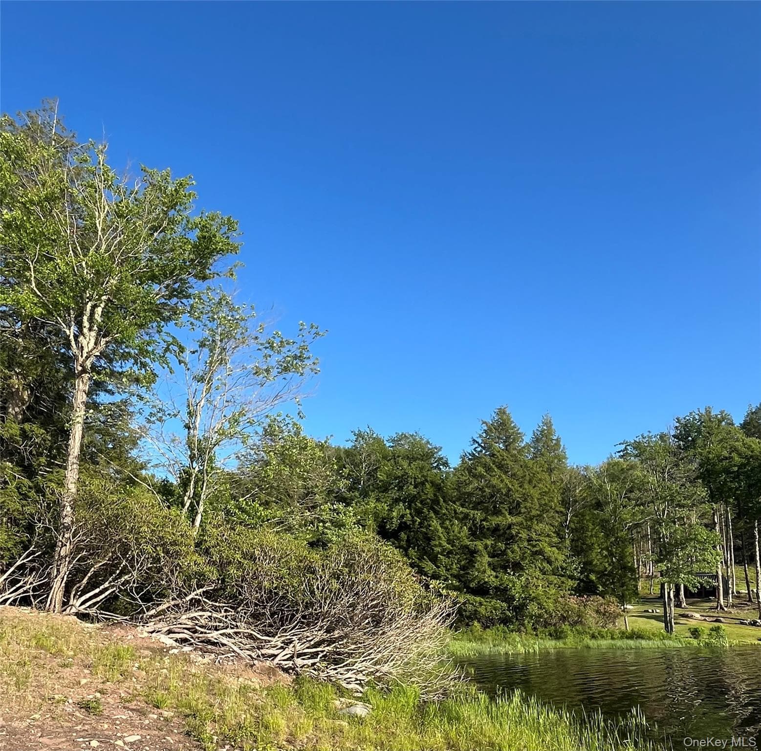 47 Eagles Ridge Way thumbnail 6