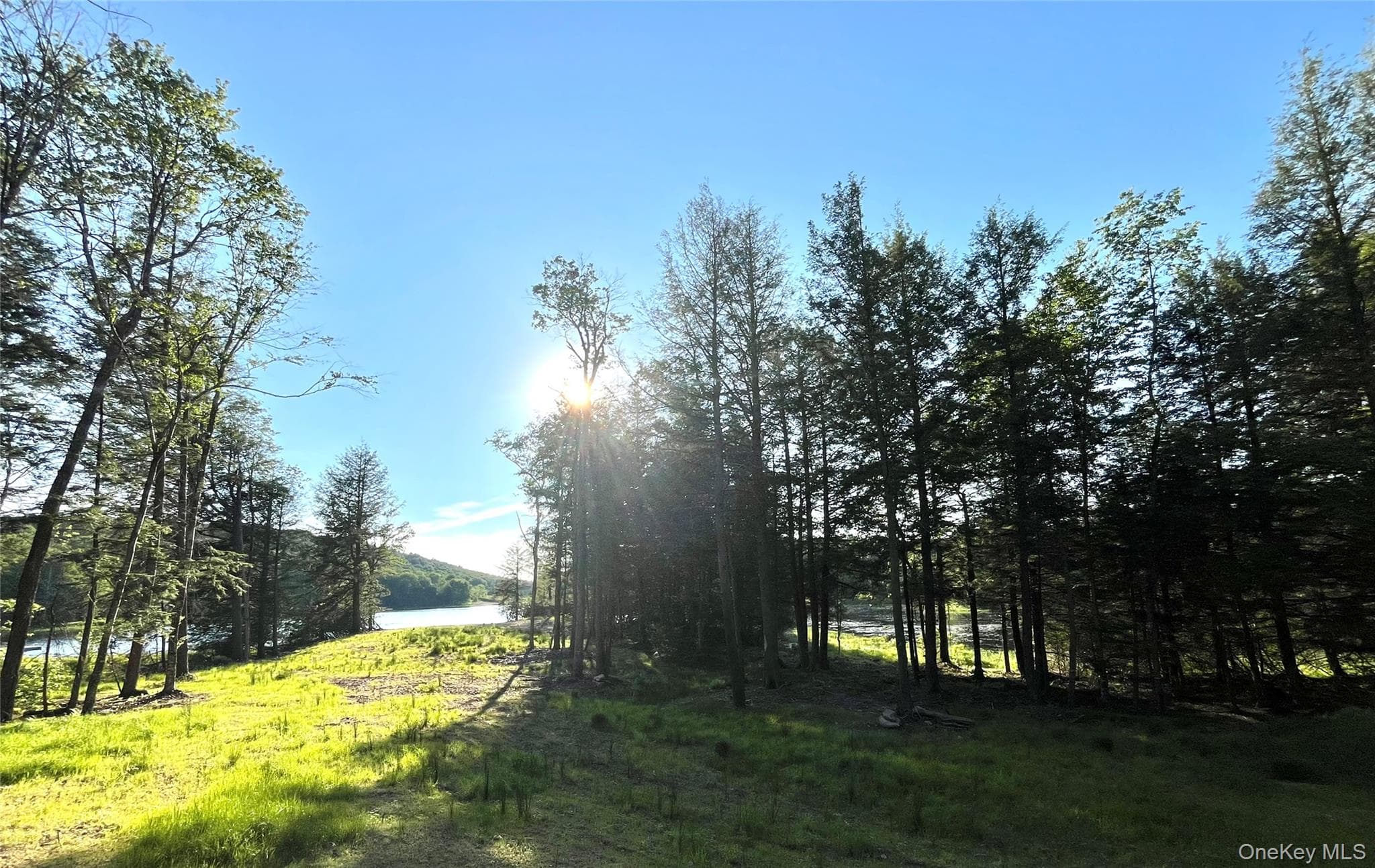 47 Eagles Ridge Way thumbnail 19