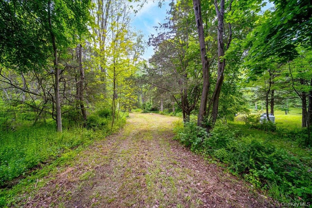 Jackson Corners Road thumbnail 20