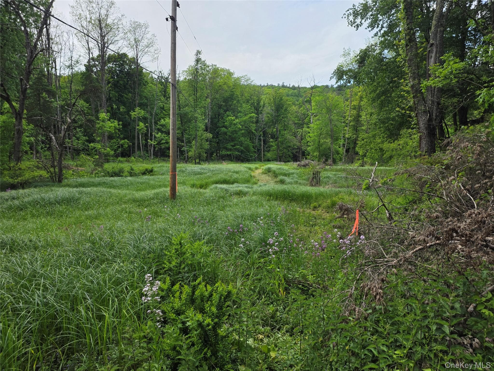Jackson Corners Road thumbnail 11