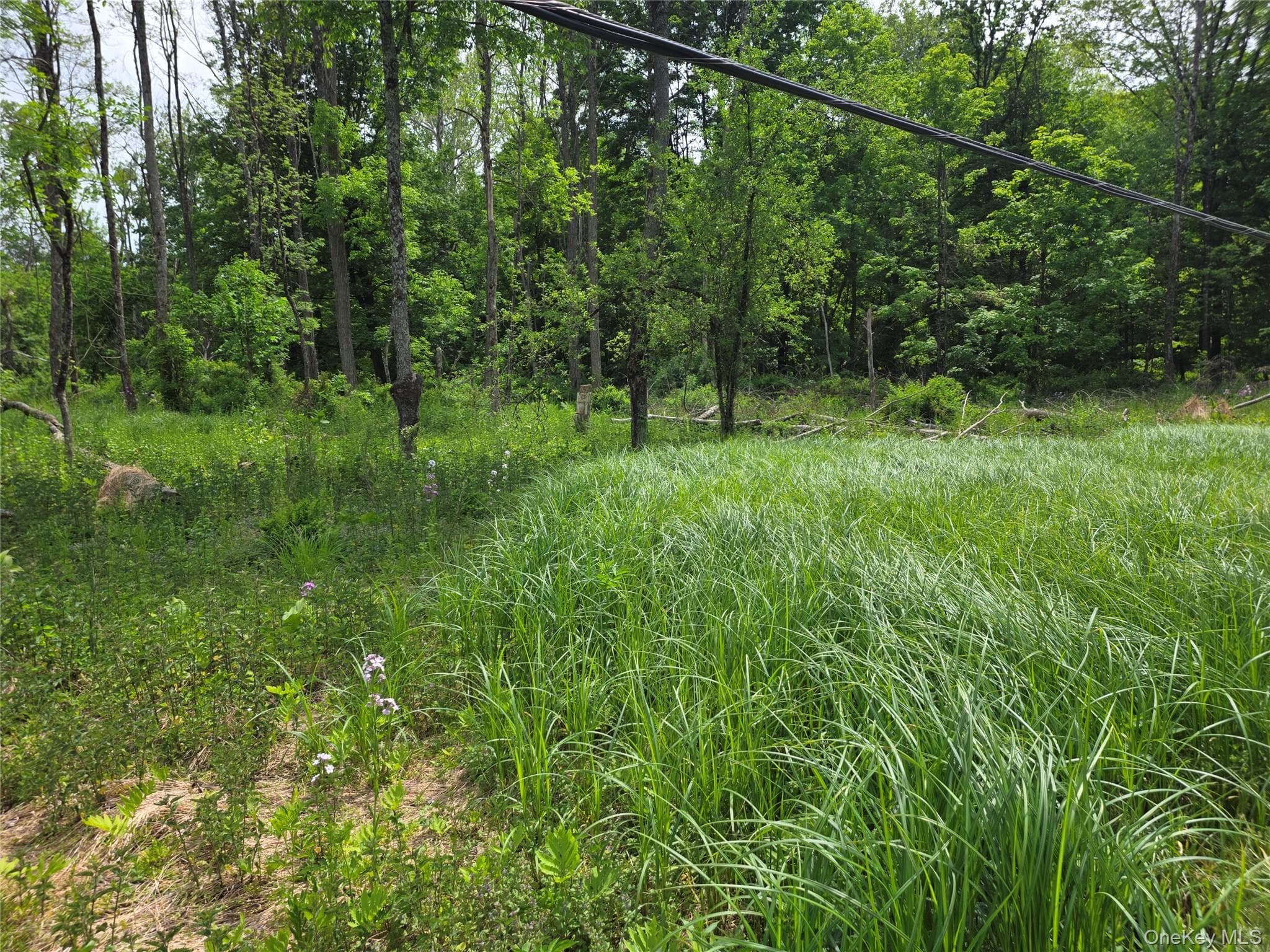 Jackson Corners Road thumbnail 12