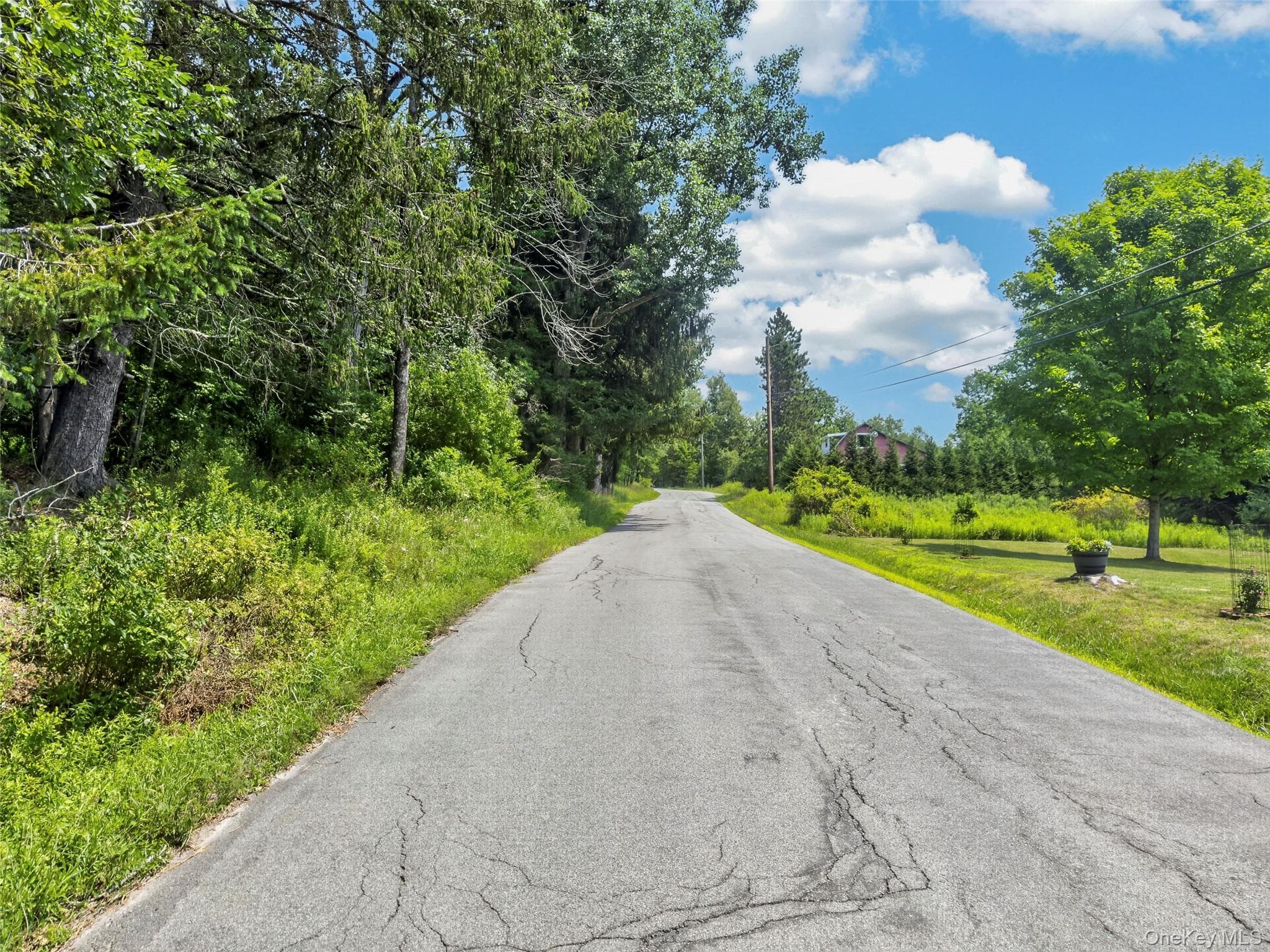 TDB White Roe Lake Road thumbnail 7