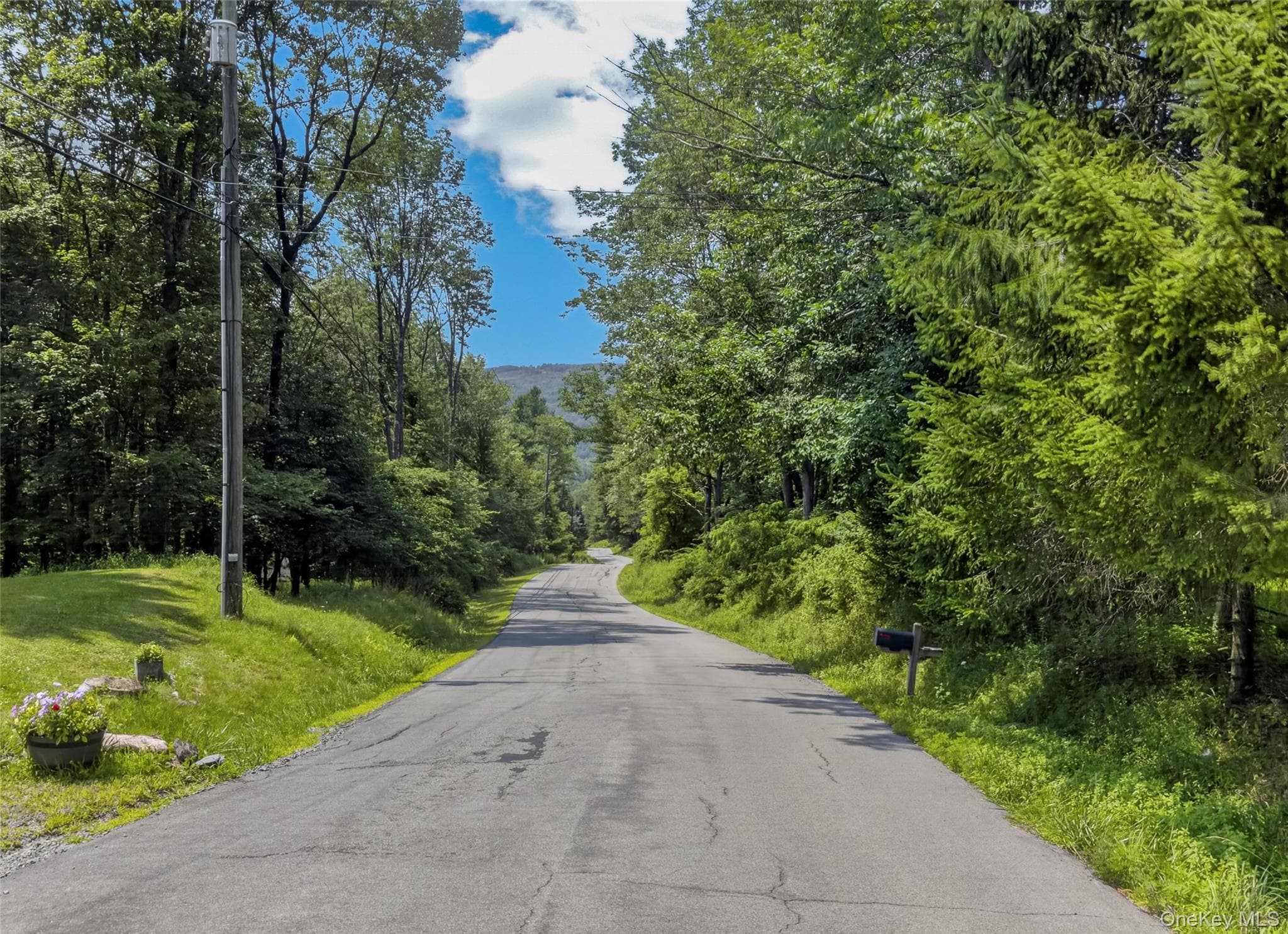 TDB White Roe Lake Road, Livingston Manor
