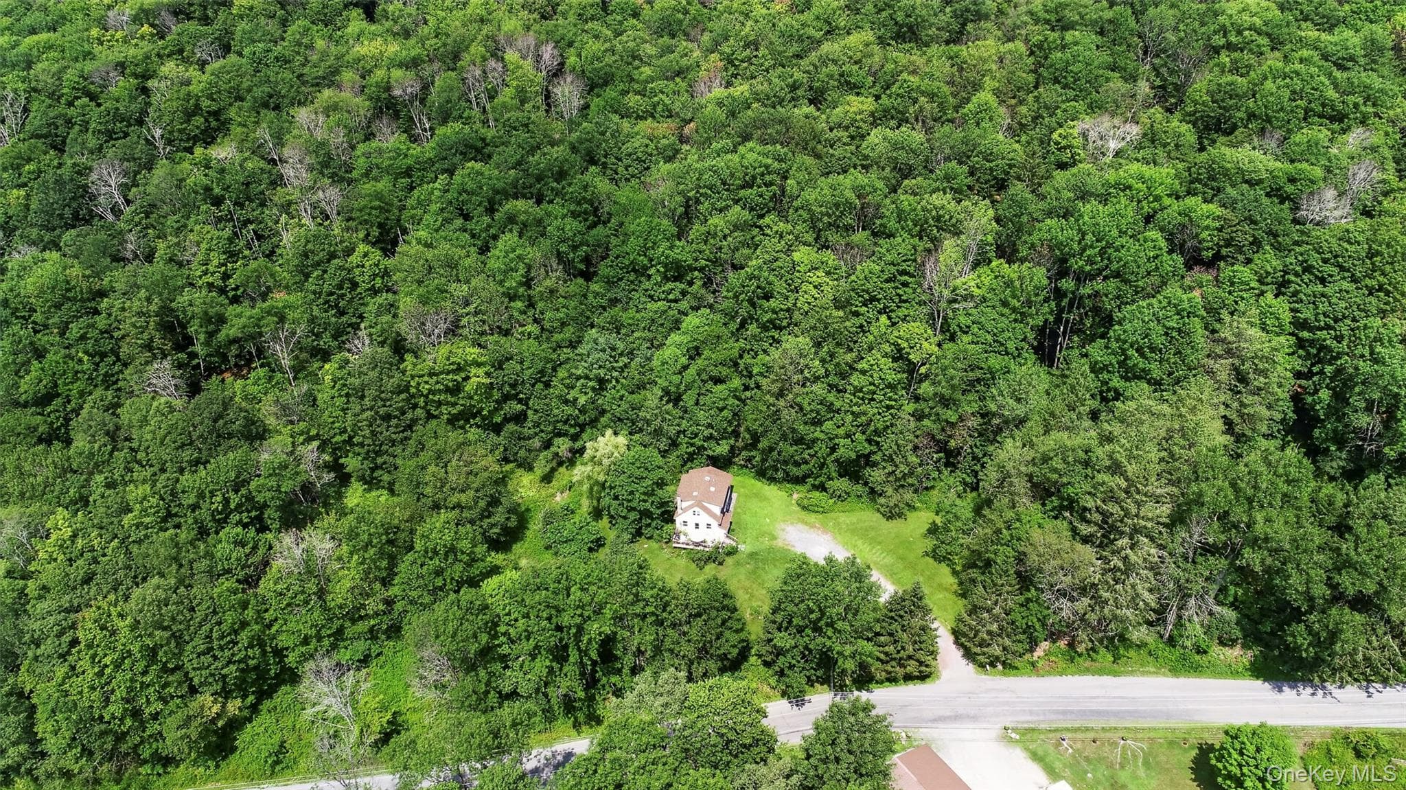 TDB White Roe Lake Road thumbnail 3