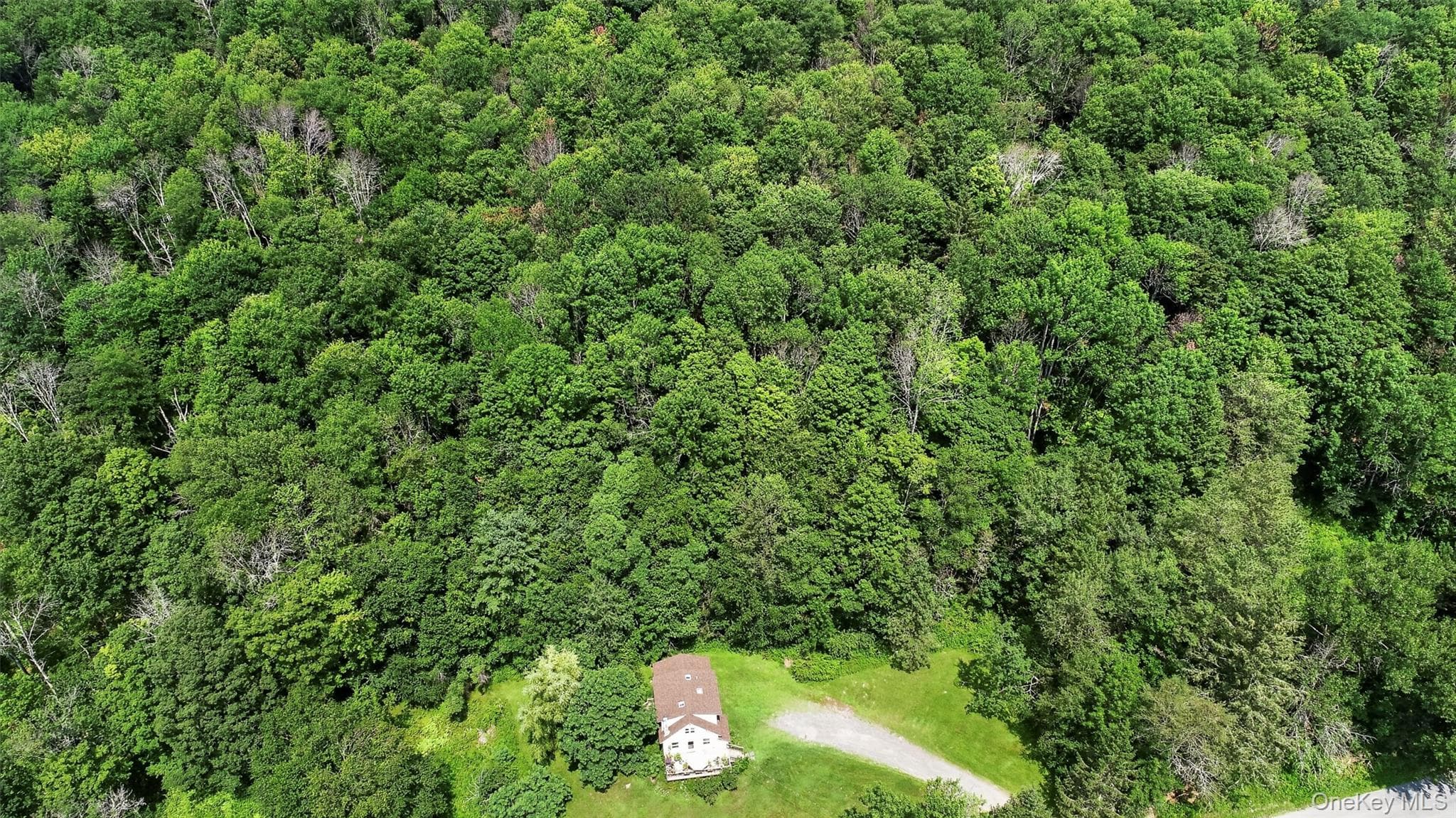 TDB White Roe Lake Road thumbnail 2